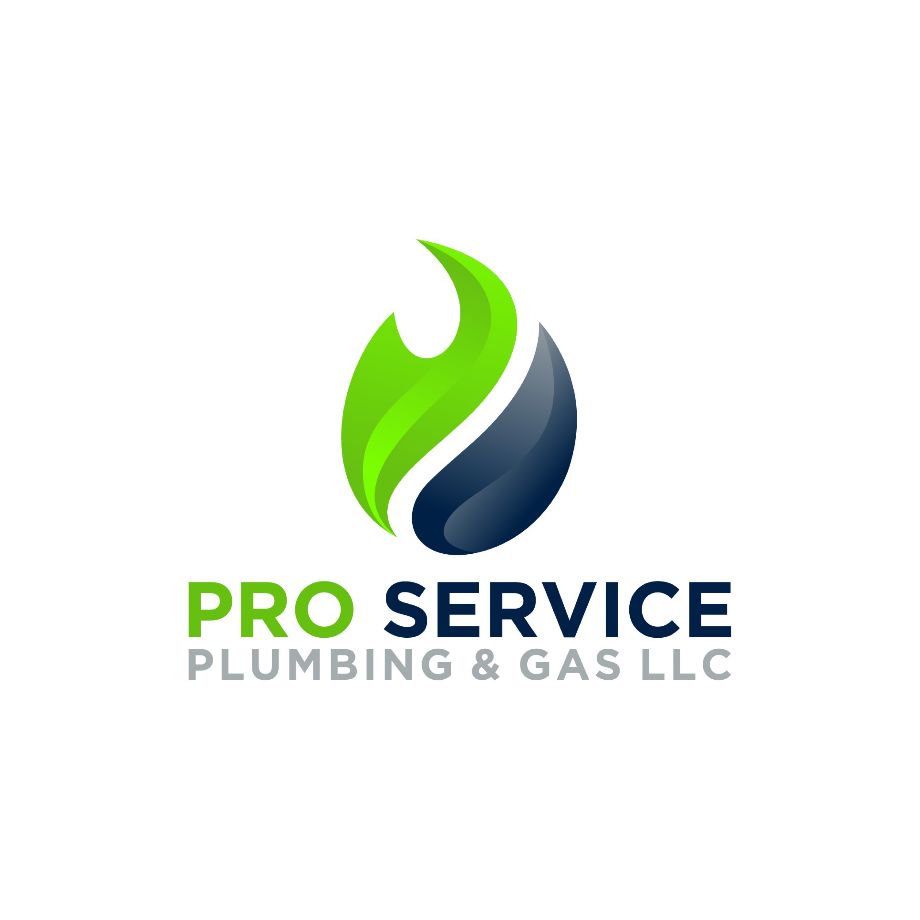 Pro Service Plumbing And Gas LLC Logo