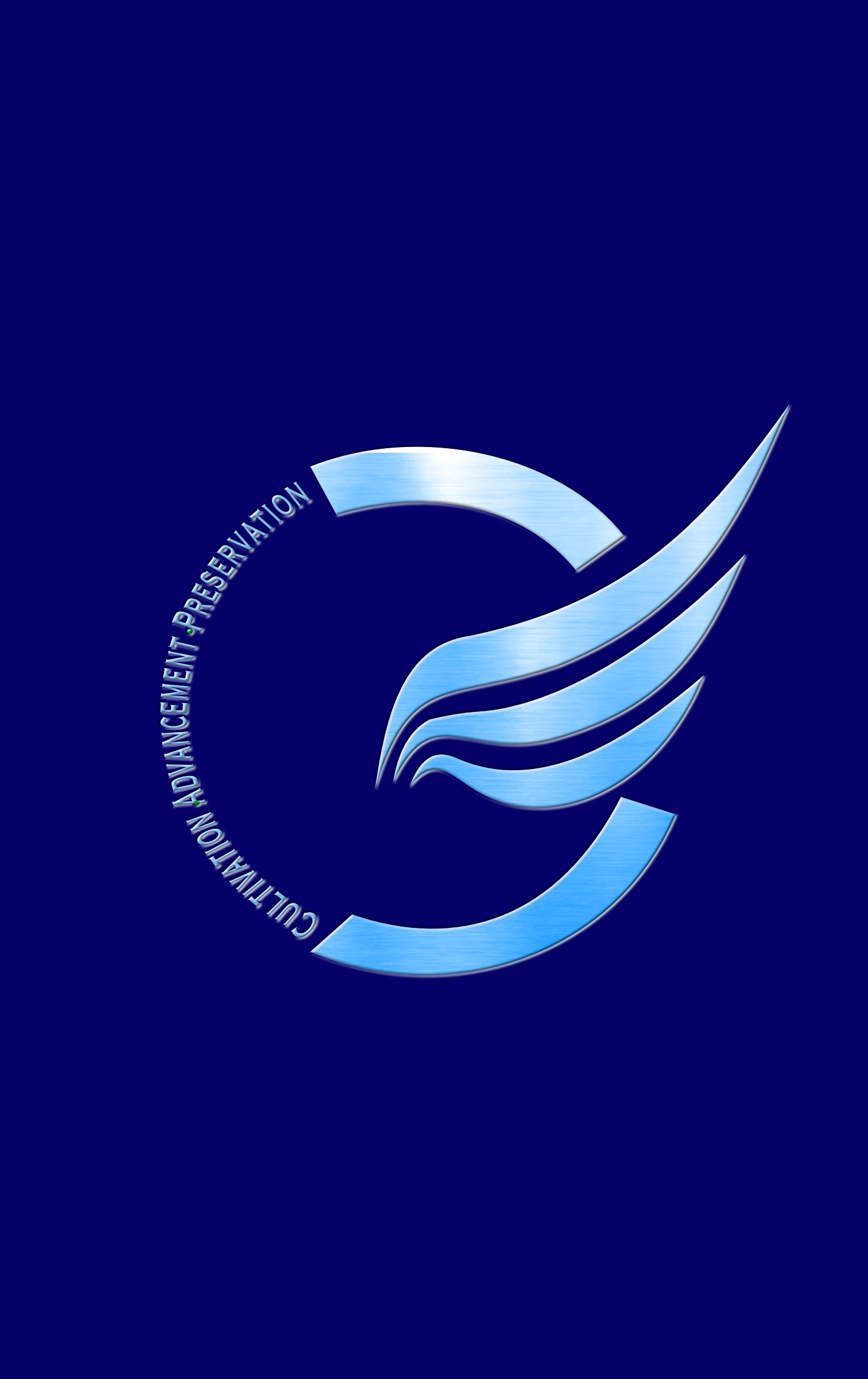 Cap Enterprise, LLC Logo