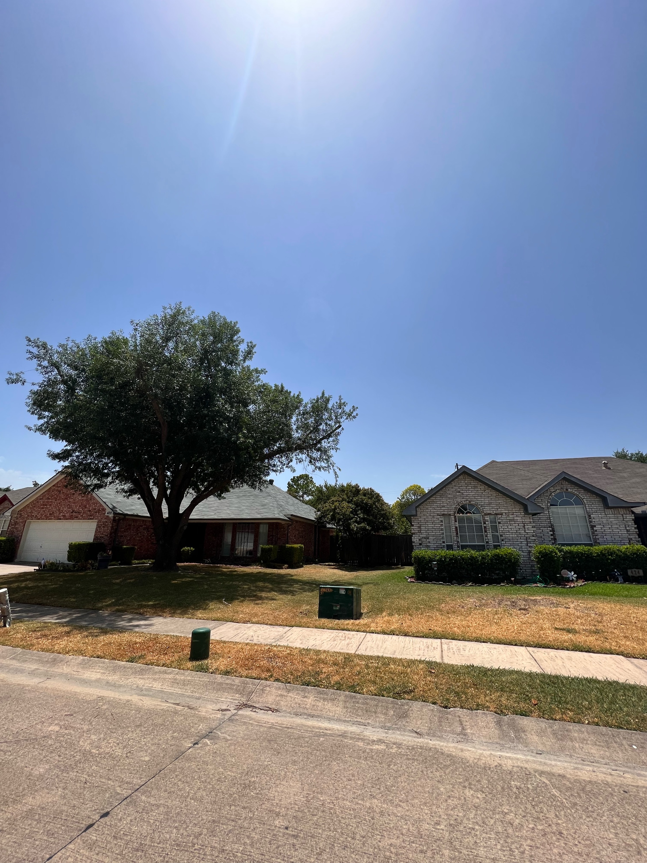 Canales Landscaping and Tree Service Logo