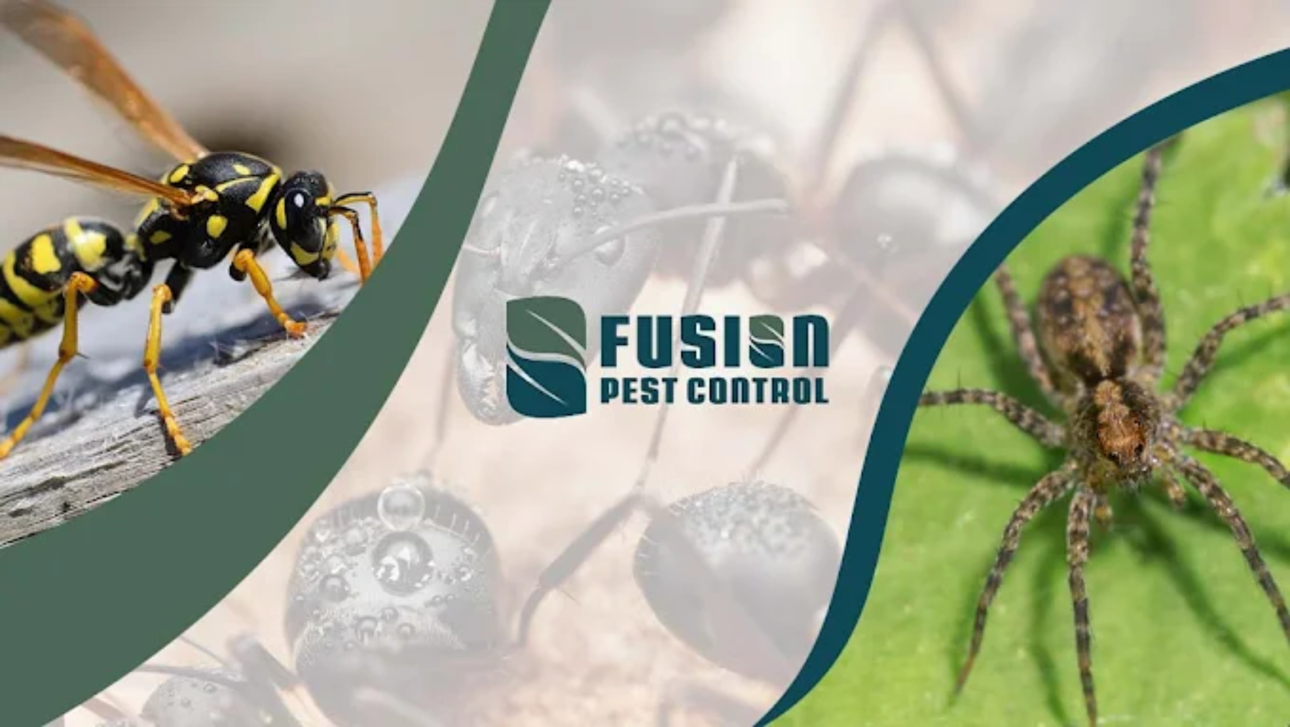 Fusion Pest Control LLC Logo