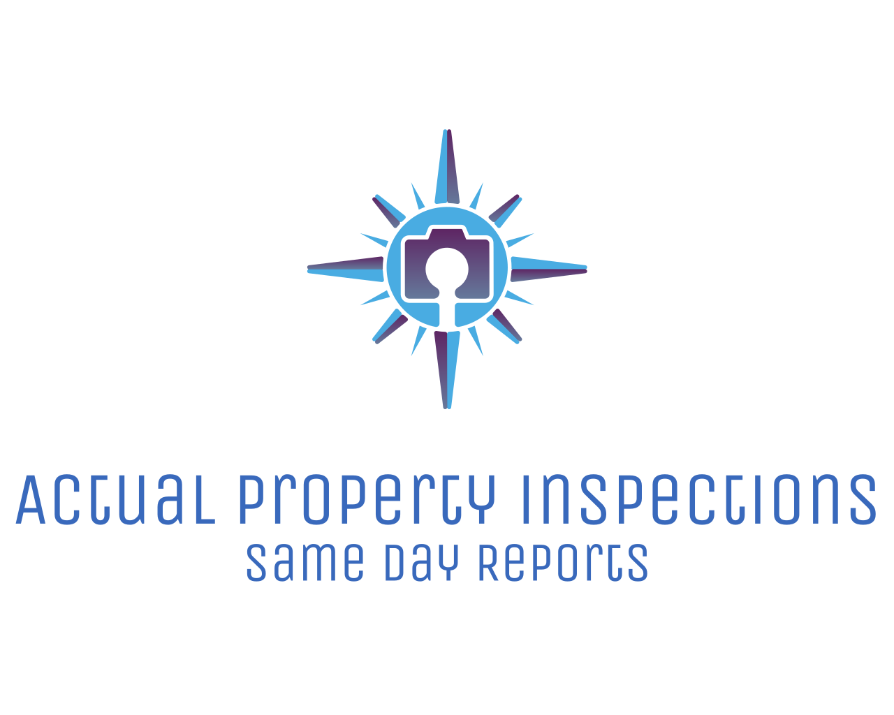 Actual Property Inspections, LLC Logo