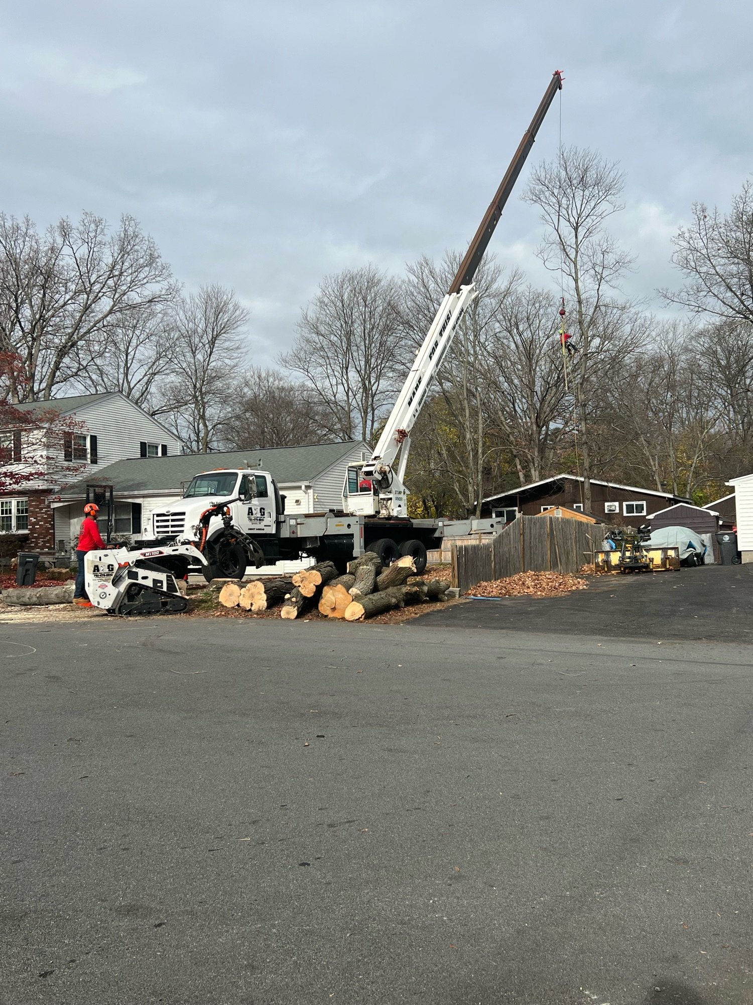 A&G Bross Tree Services, Inc. Logo