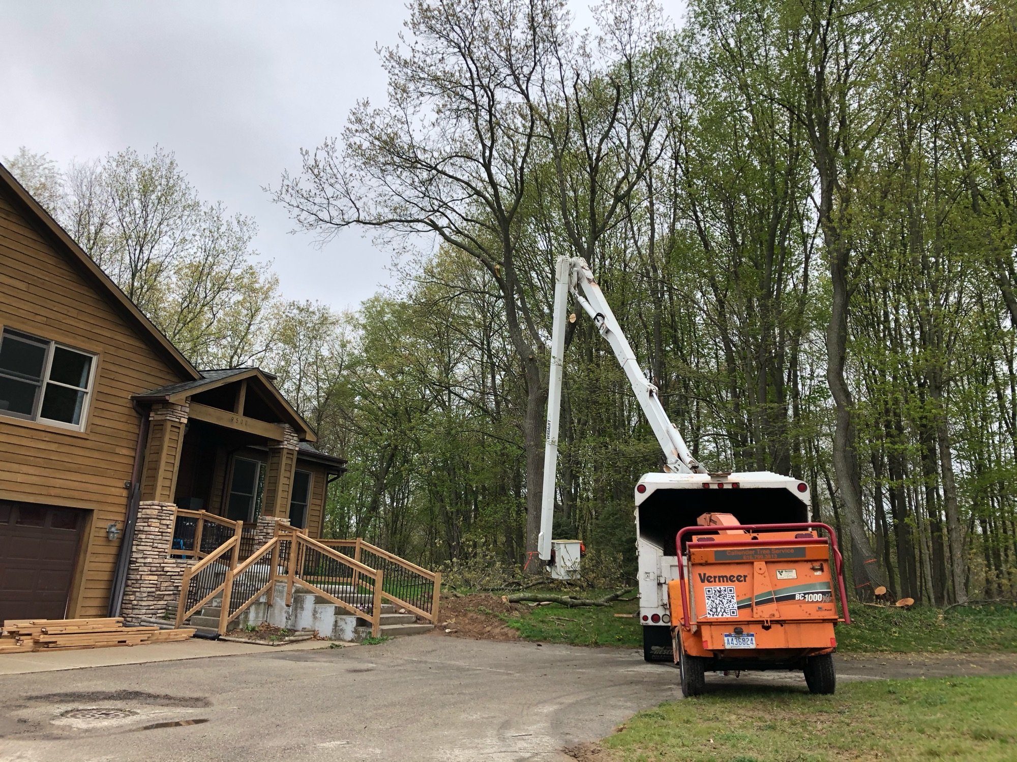 Callender Tree Service Logo