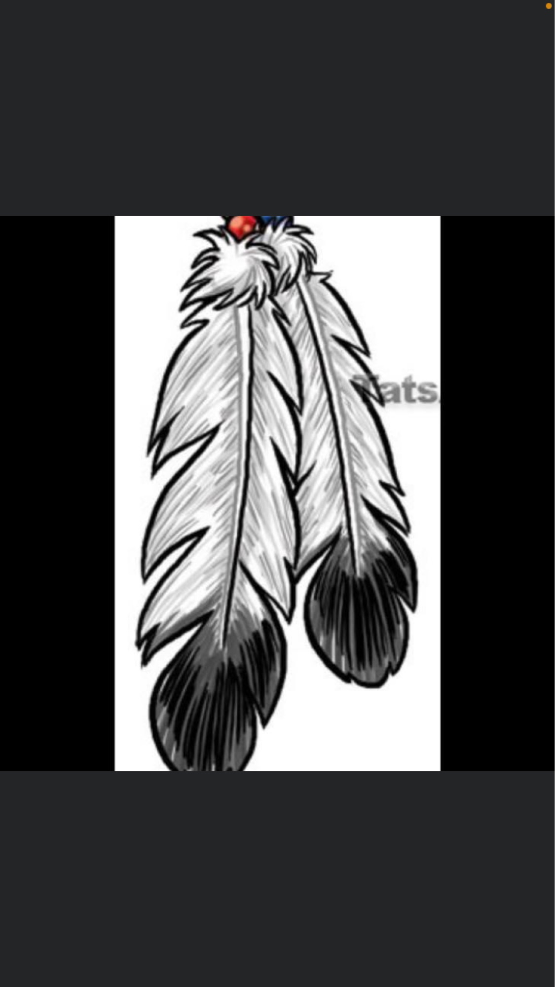 Two Feathers Customs, LLC Logo