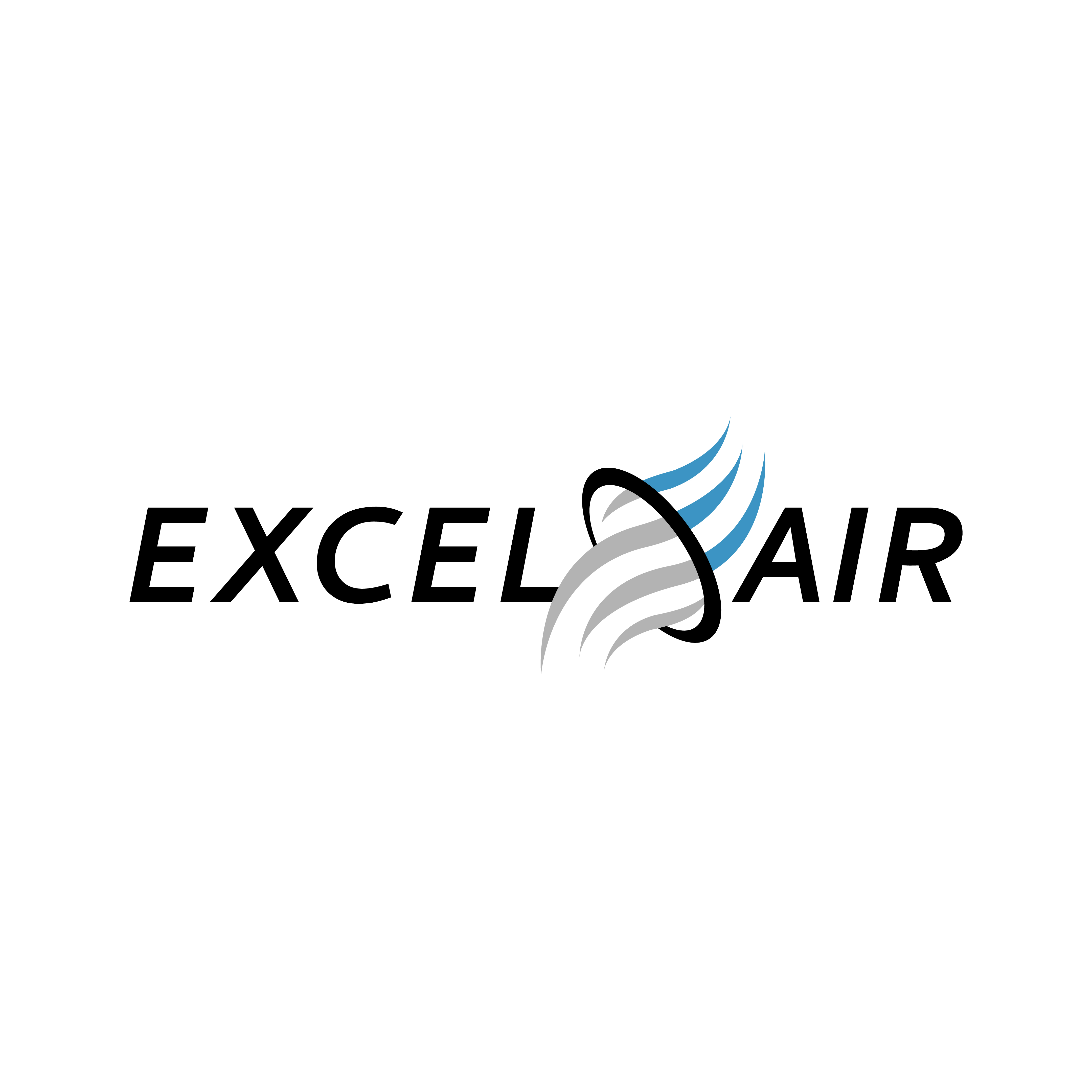 Excel Air, LLC Logo