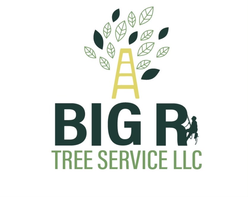 Big R Tree Service, LLC Logo