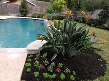 Themescapes Landscaping Logo