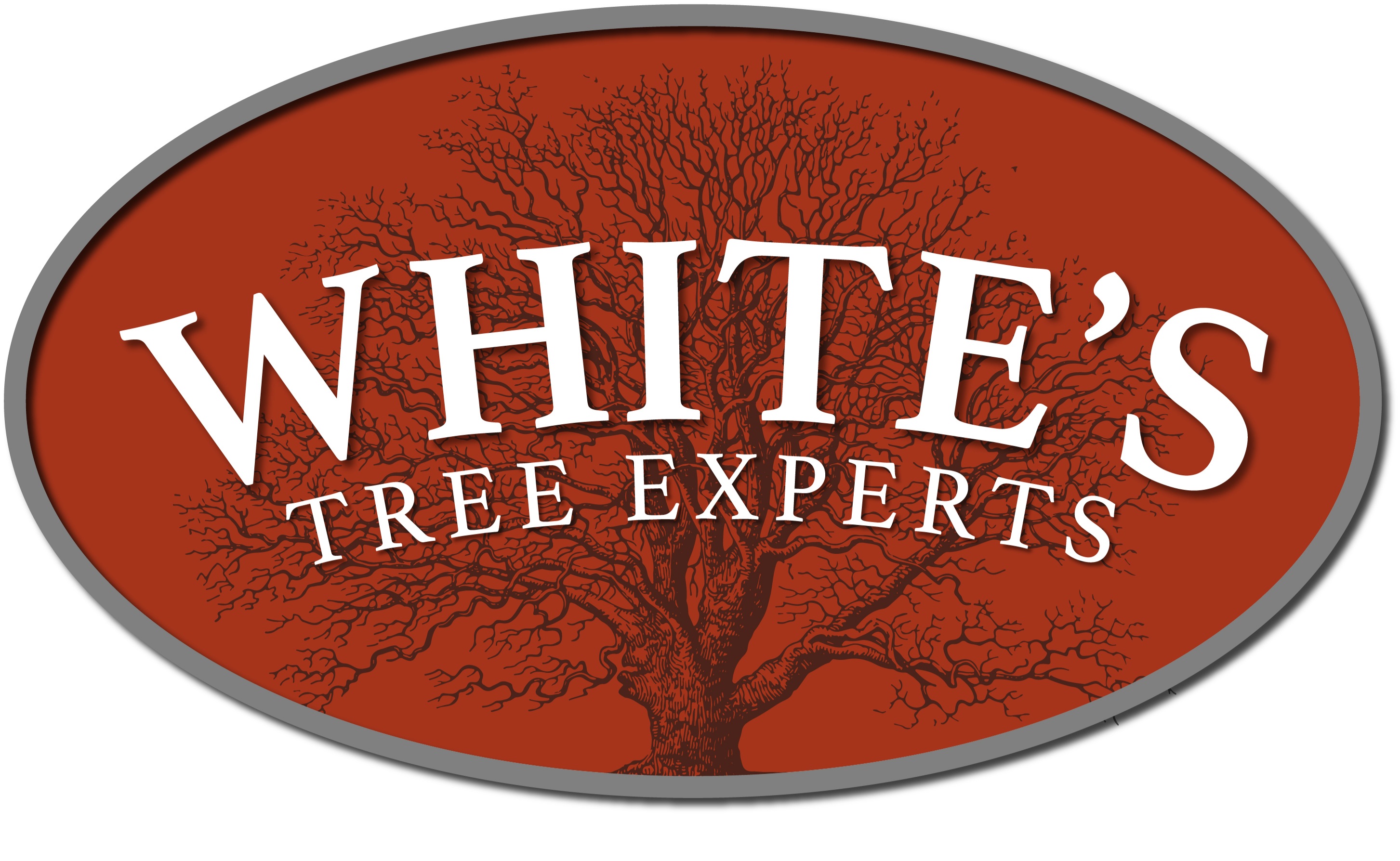 White's Tree Experts Logo