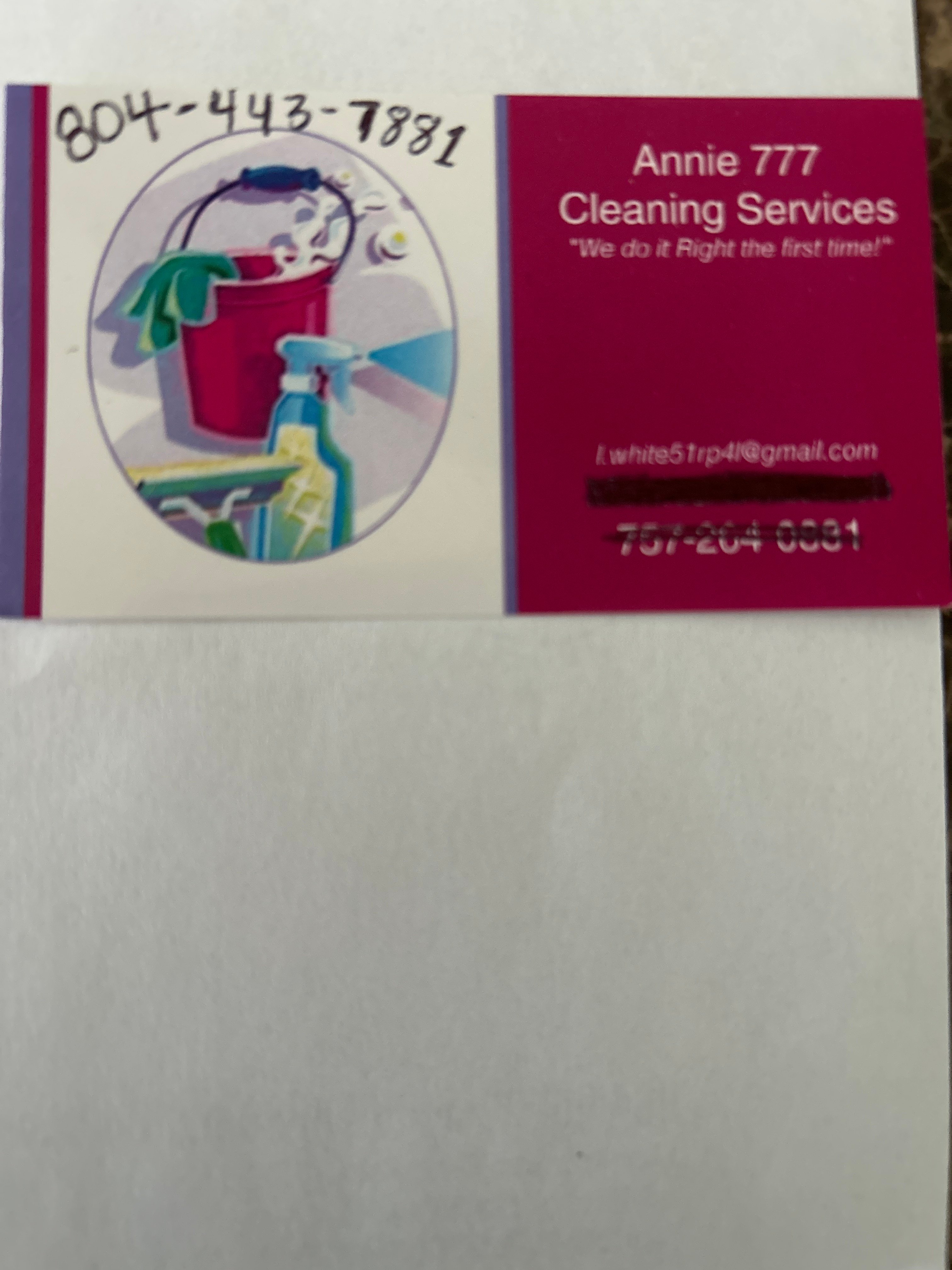 Annie 777 Cleaning Services Logo