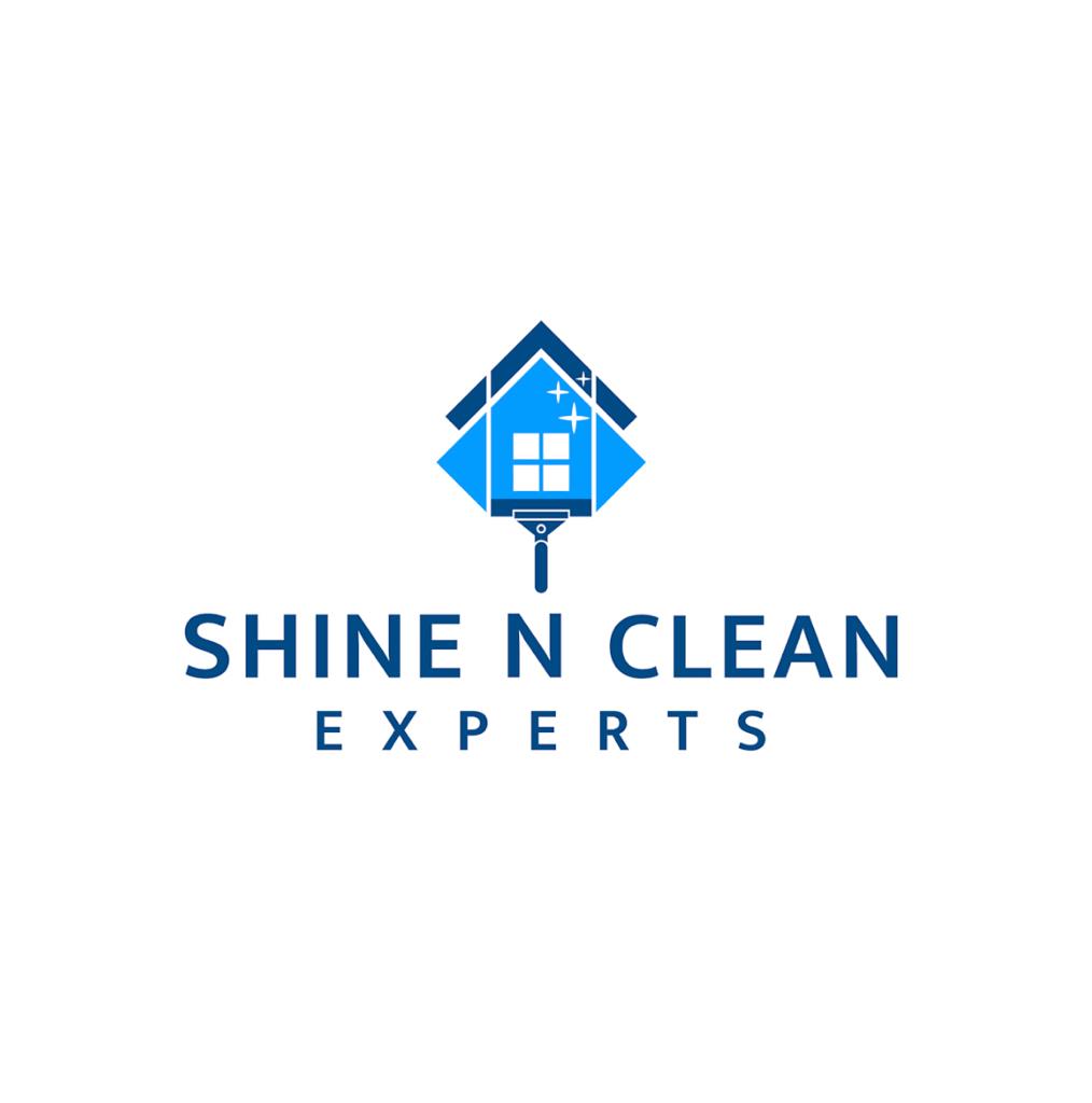 Shine N Clean Expert Logo