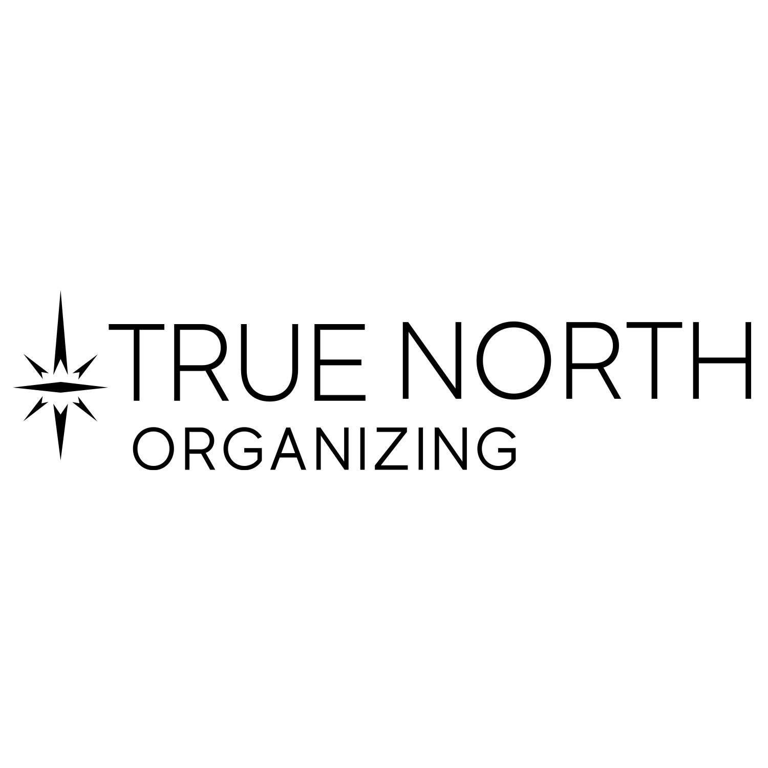 True North Organizing Logo