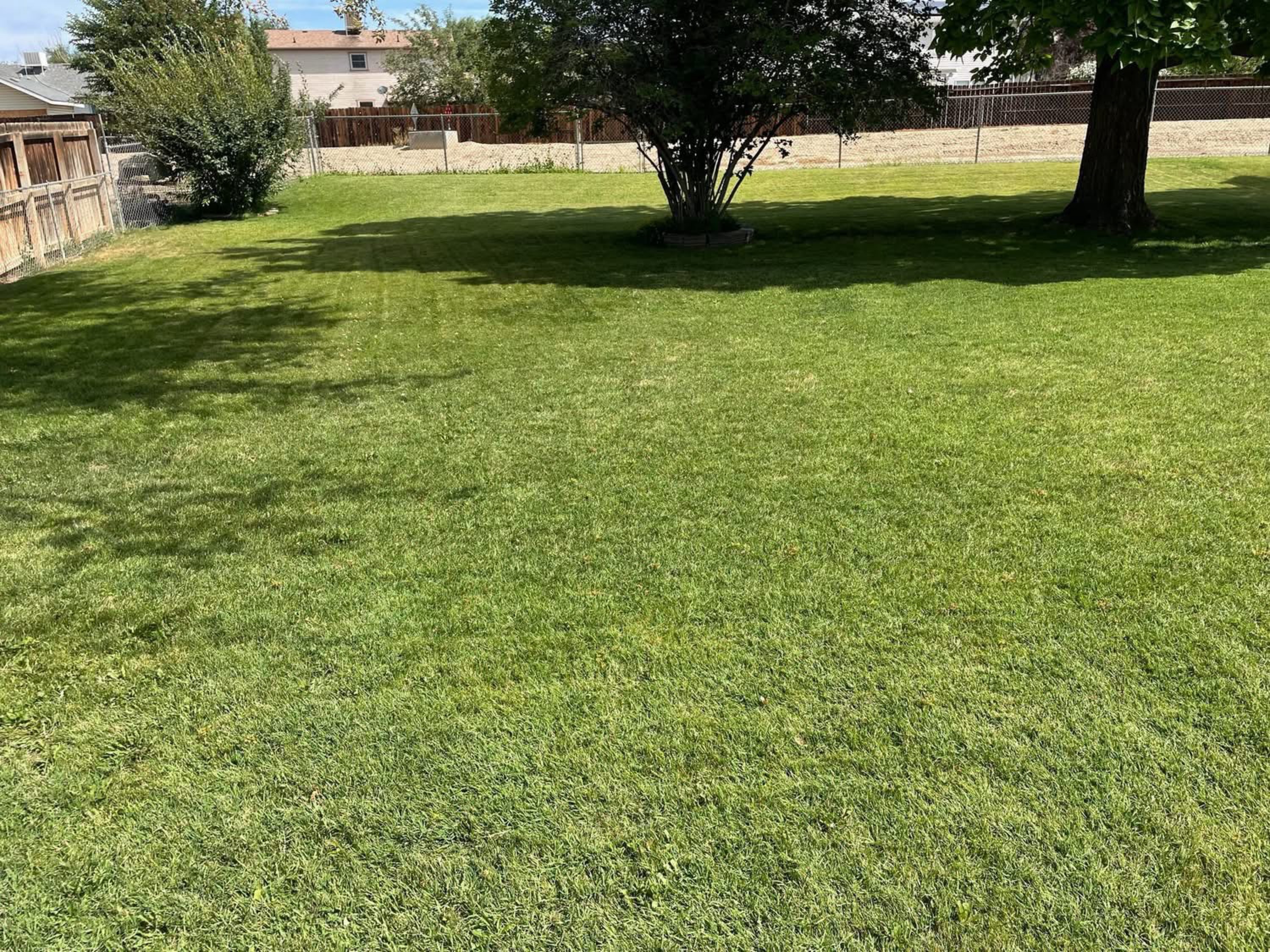 Randyman Lawn Services Logo