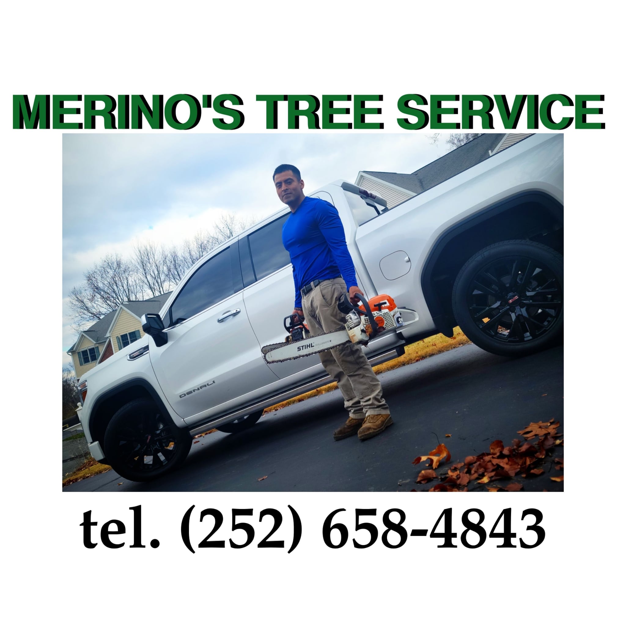 Merino's TREE Service Logo