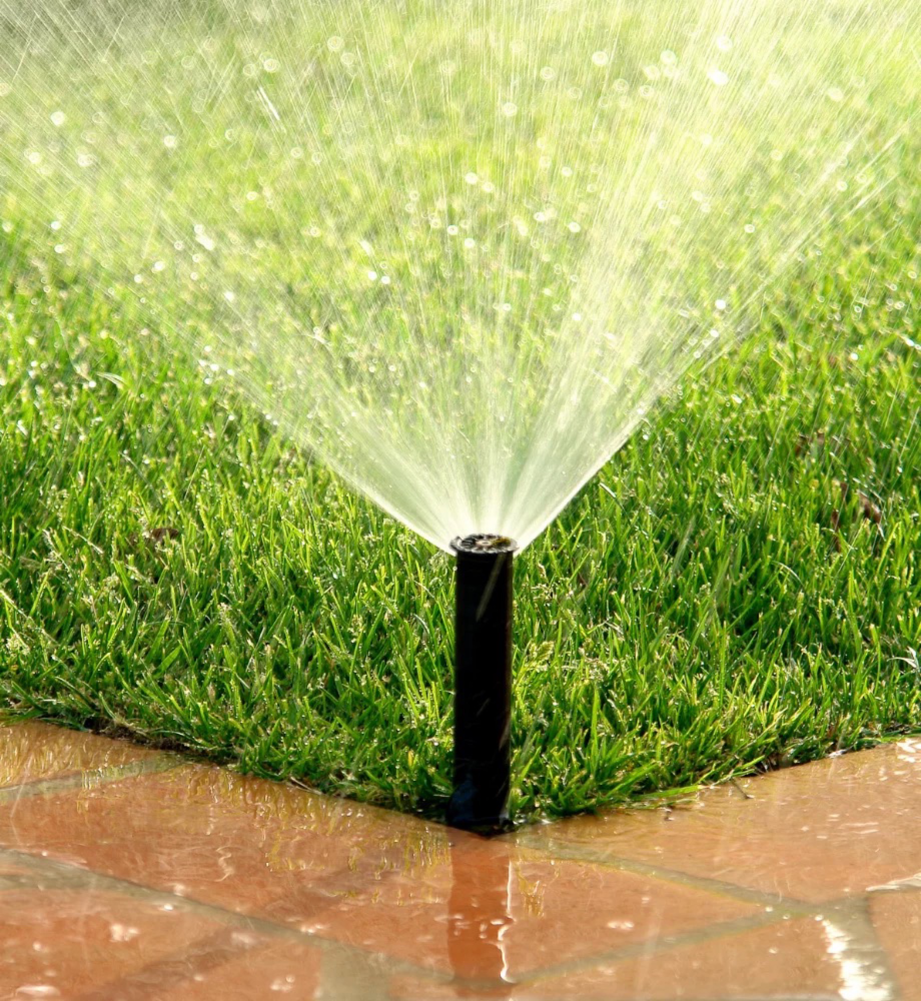 Eco Irrigations Logo
