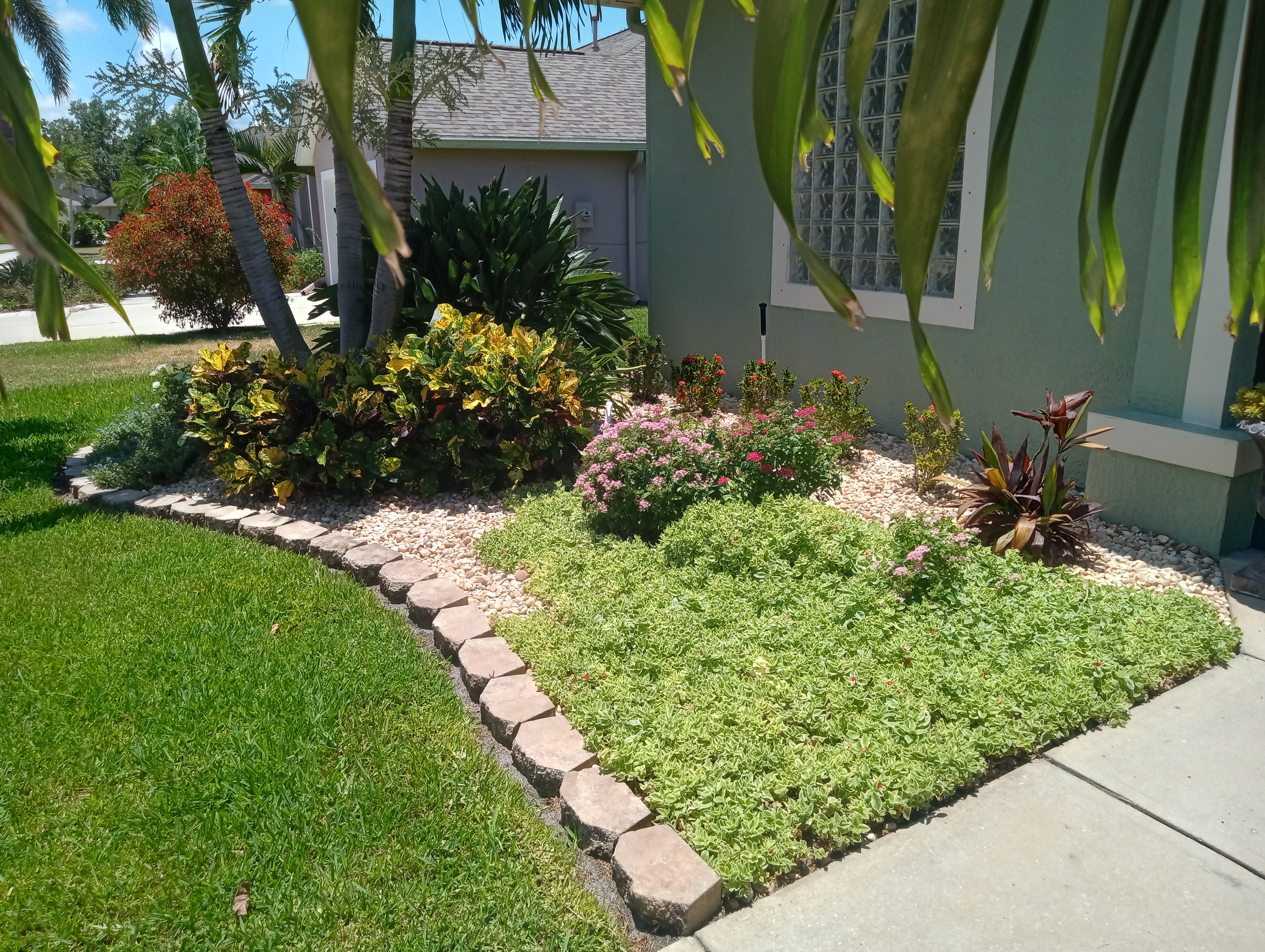 True Vine Landscape Logo