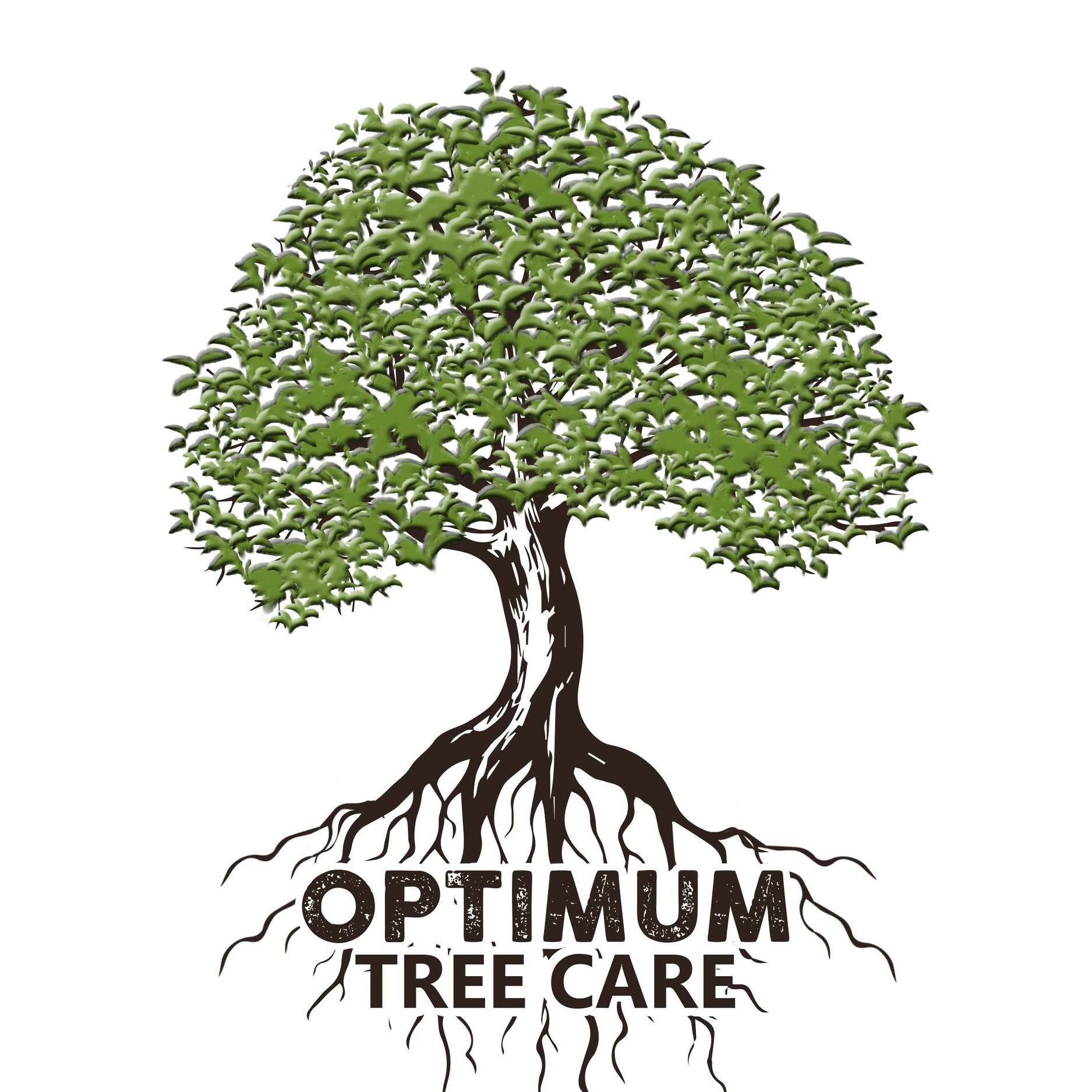 Optimum Tree Care Logo