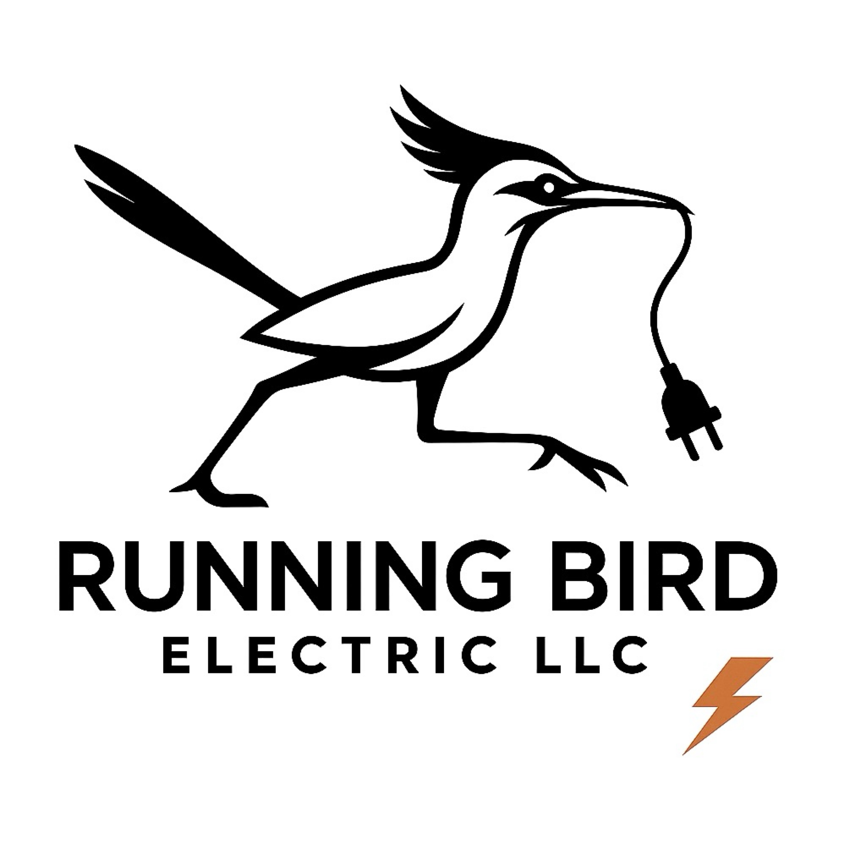 Running Bird Electric, LLC Logo