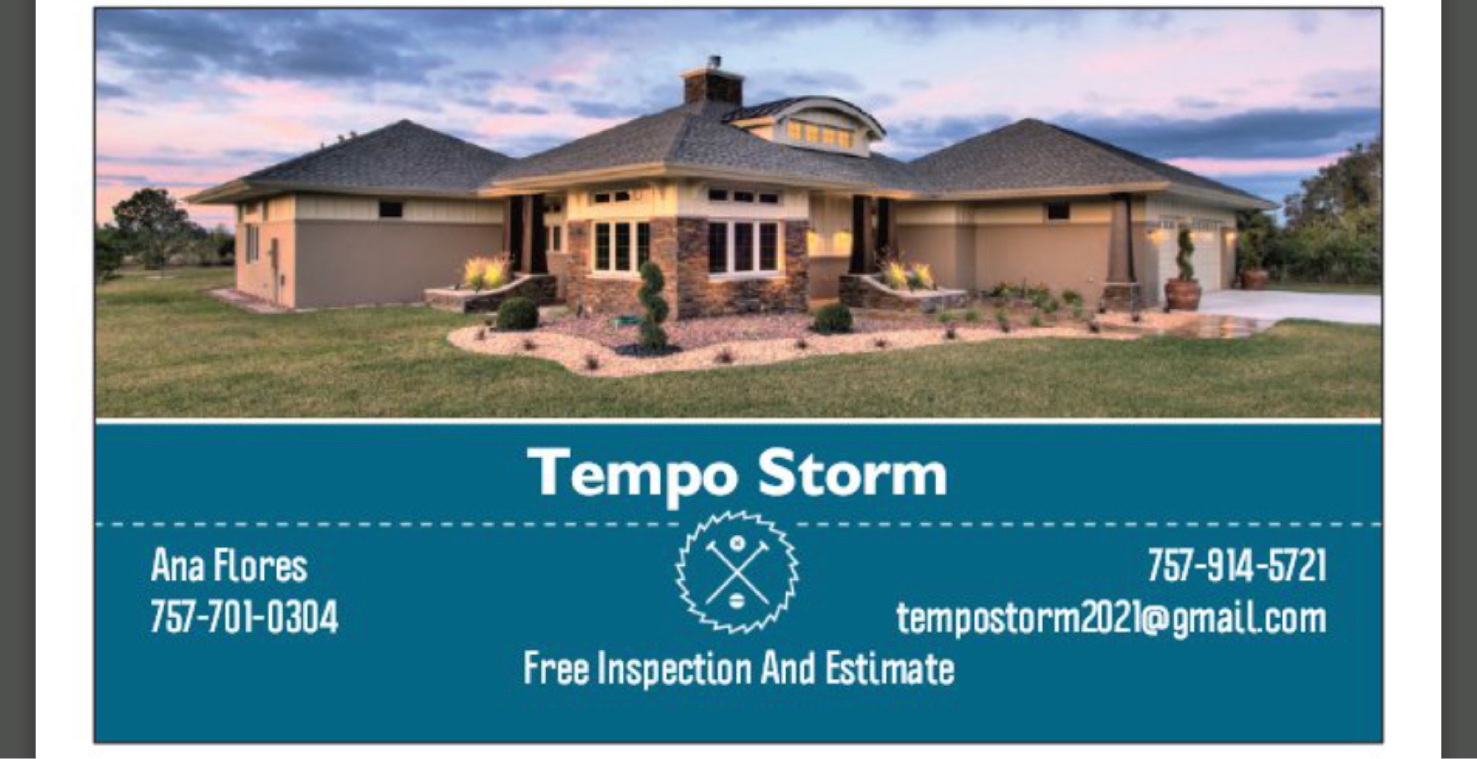 Tempo Storm, LLC Logo