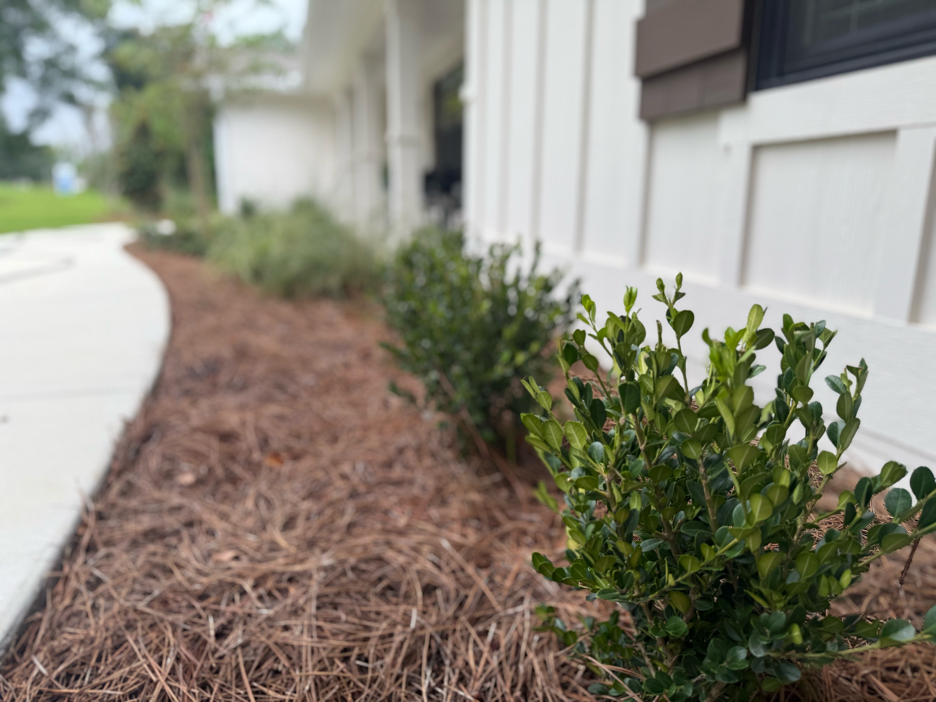 Andrews Lawn & Garden LLC Logo