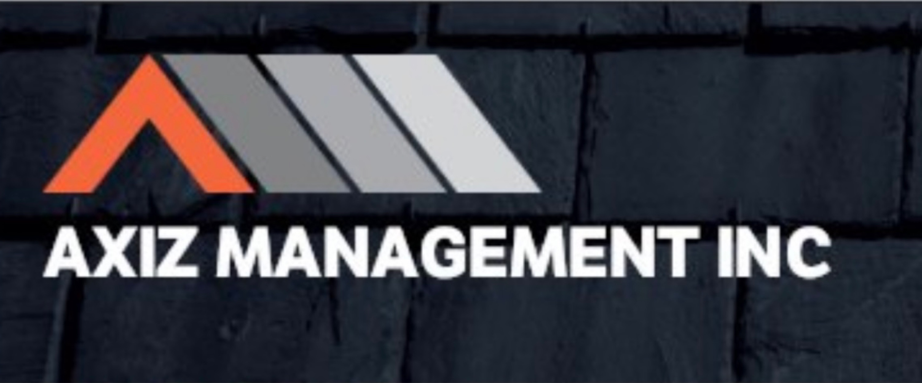 Axiz Management, Inc. Logo