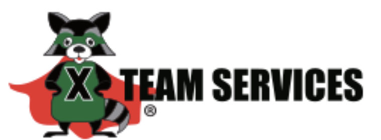 X Team Services Logo