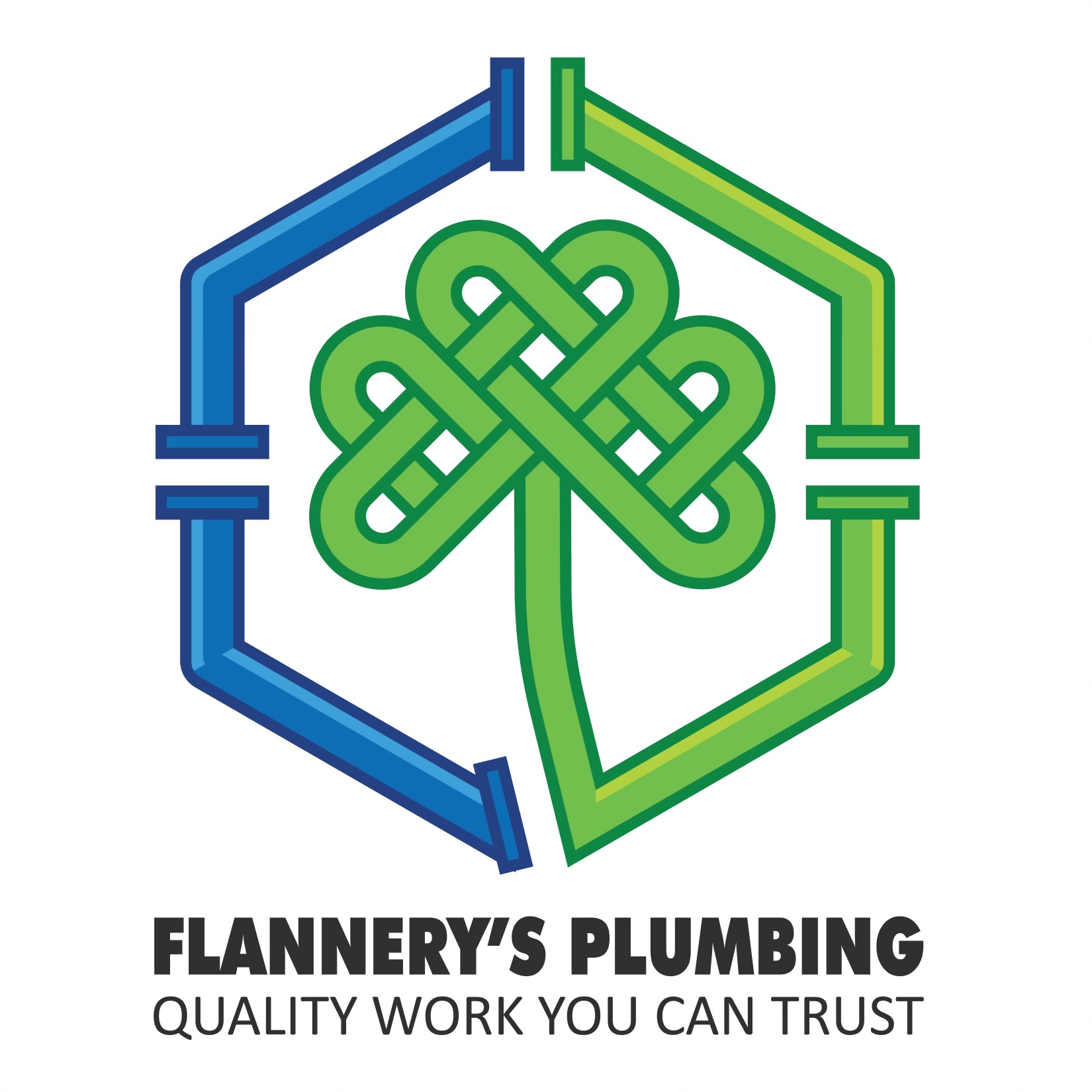 David Flannery Logo