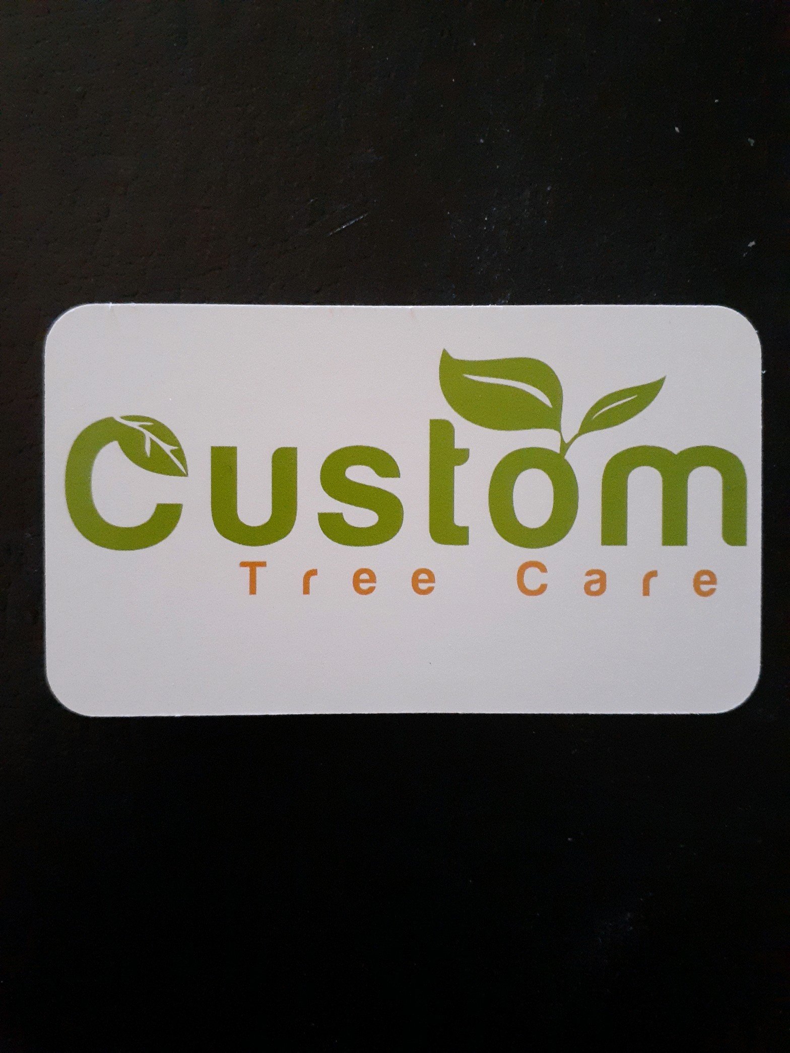 Custom Tree Care Logo