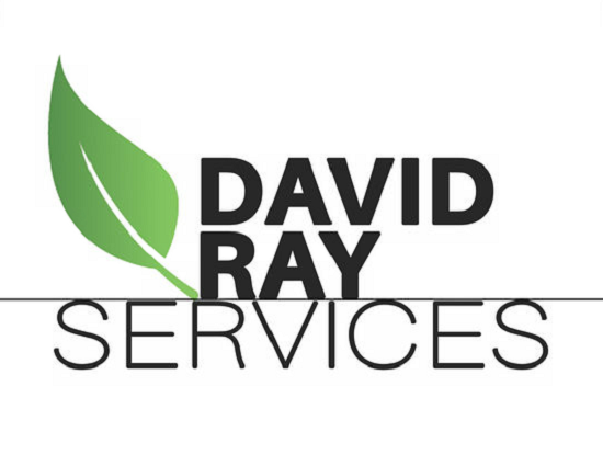 David Ray Services Logo