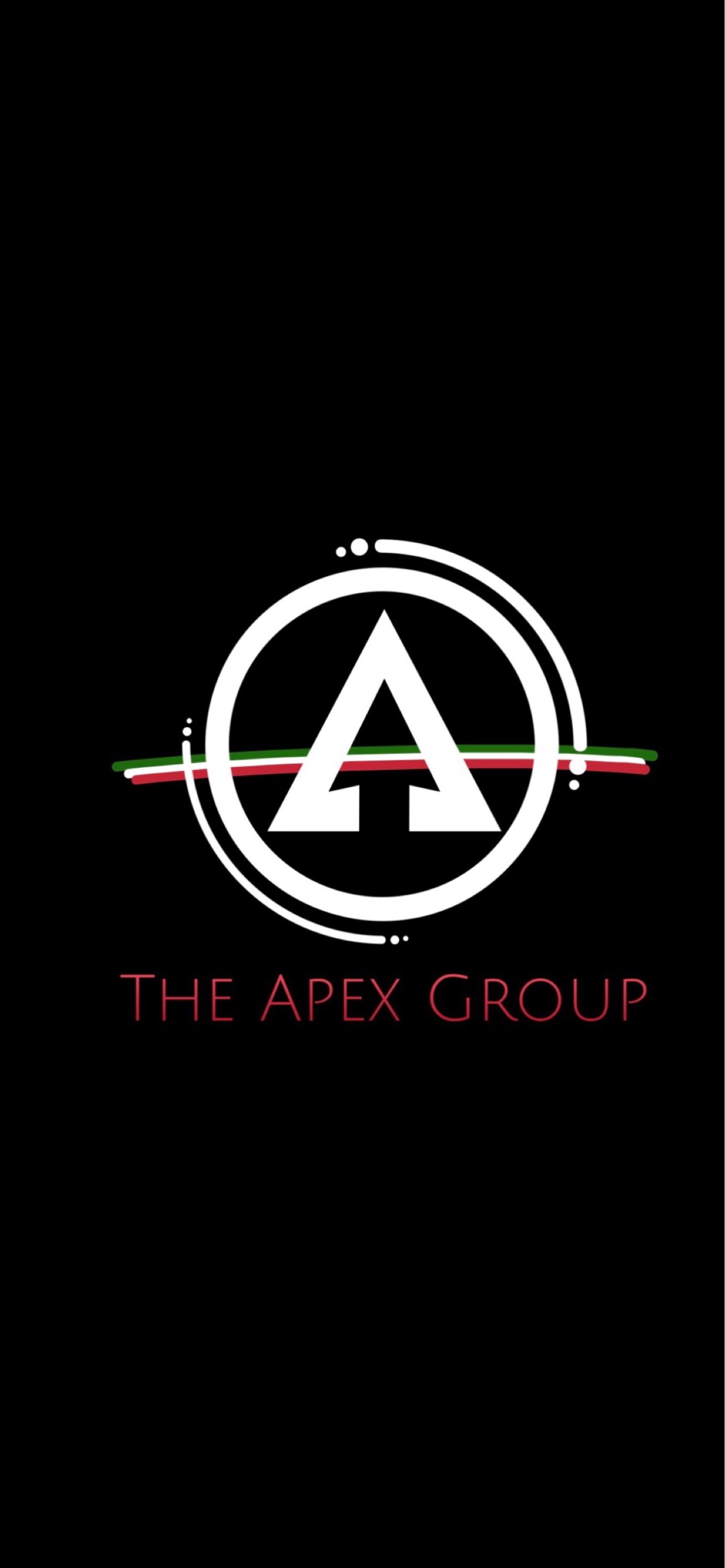 NAPLES APEX GROUP, INC. Logo