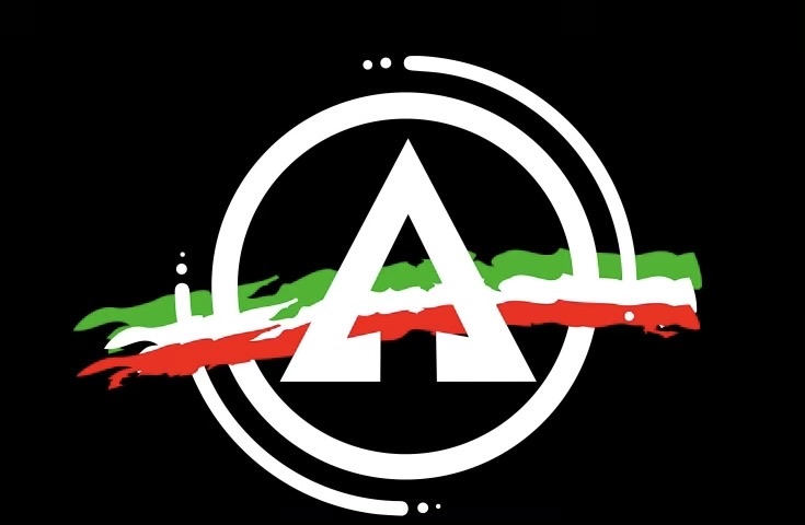 NAPLES APEX GROUP, INC. Logo
