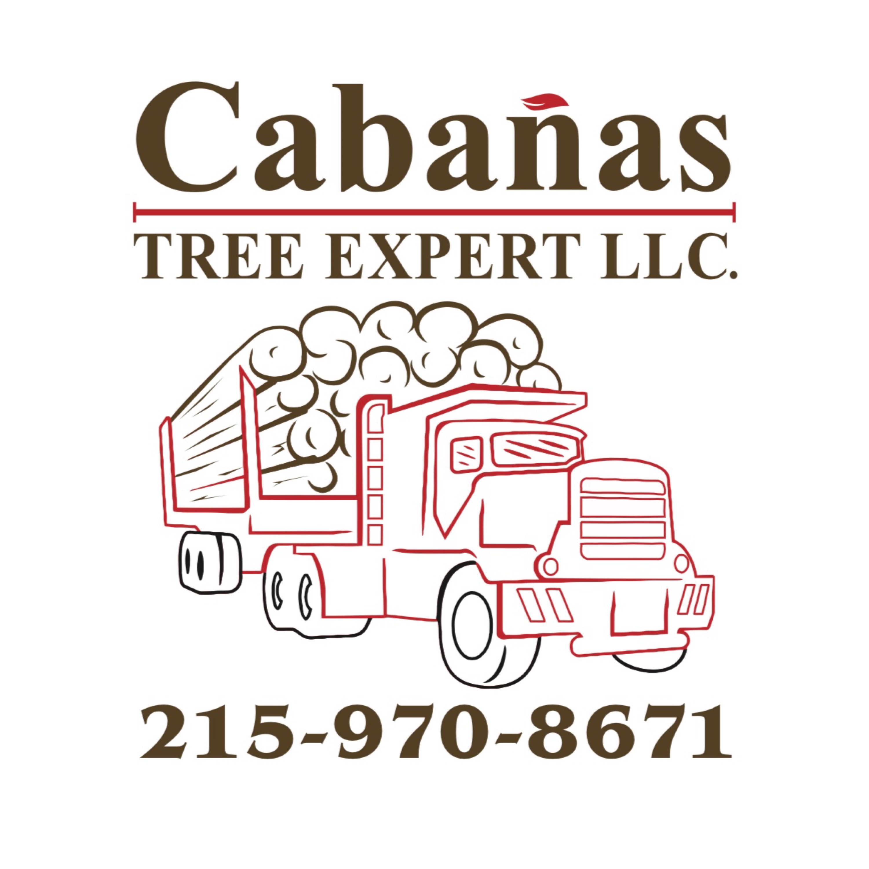 Cabanas Tree Expert Logo
