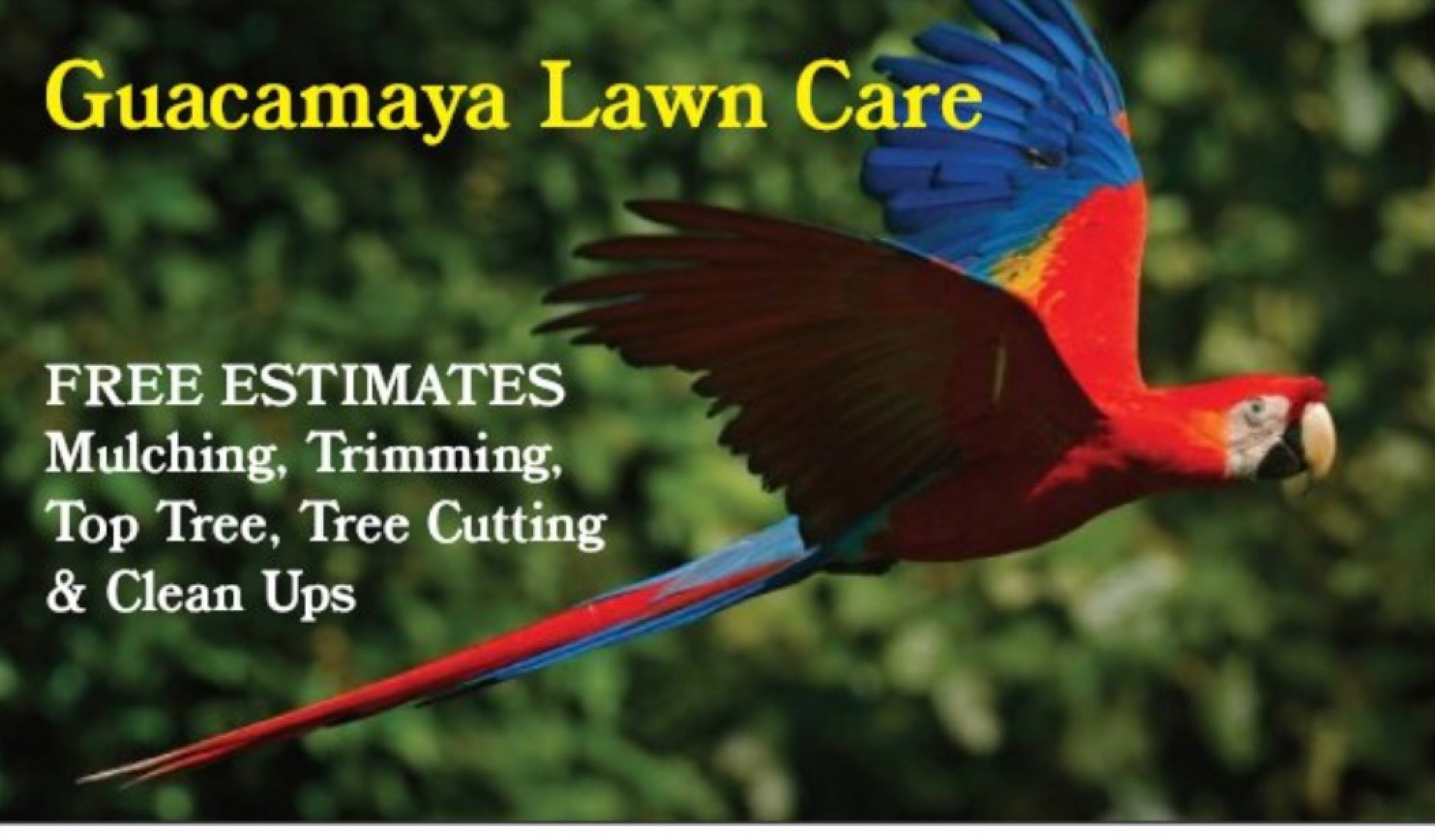 Guacamaya Tree Service & Lawncare Inc Logo