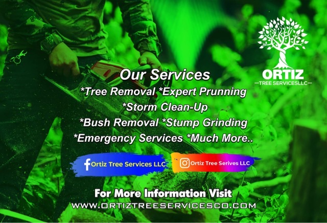 Ortiz Tree Services Logo