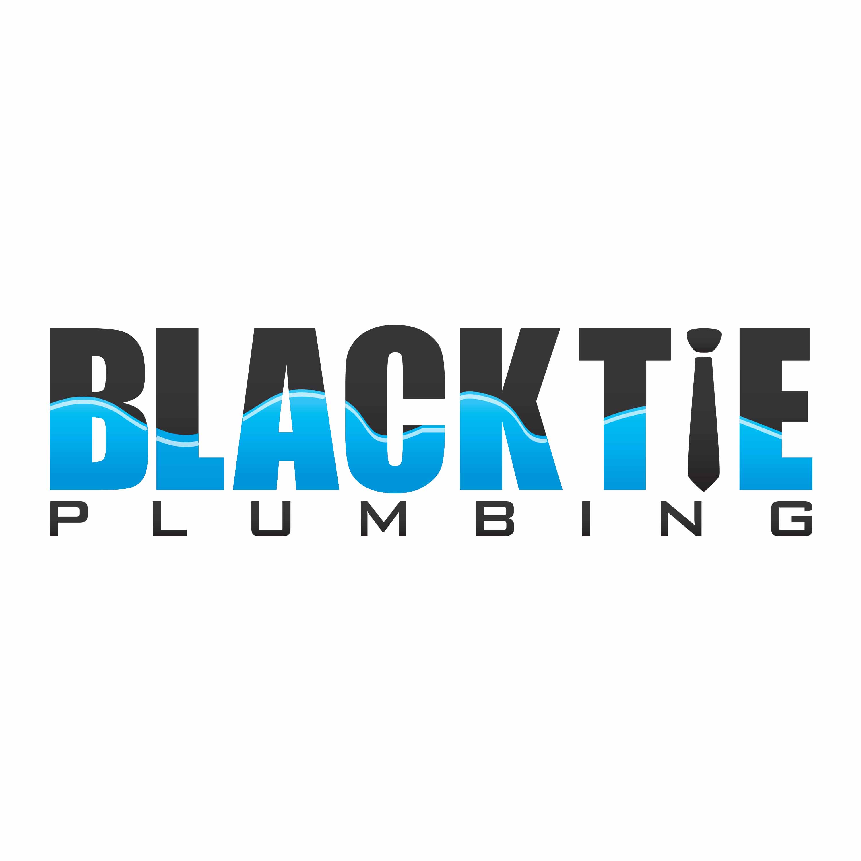 Black Tie Plumbing Logo