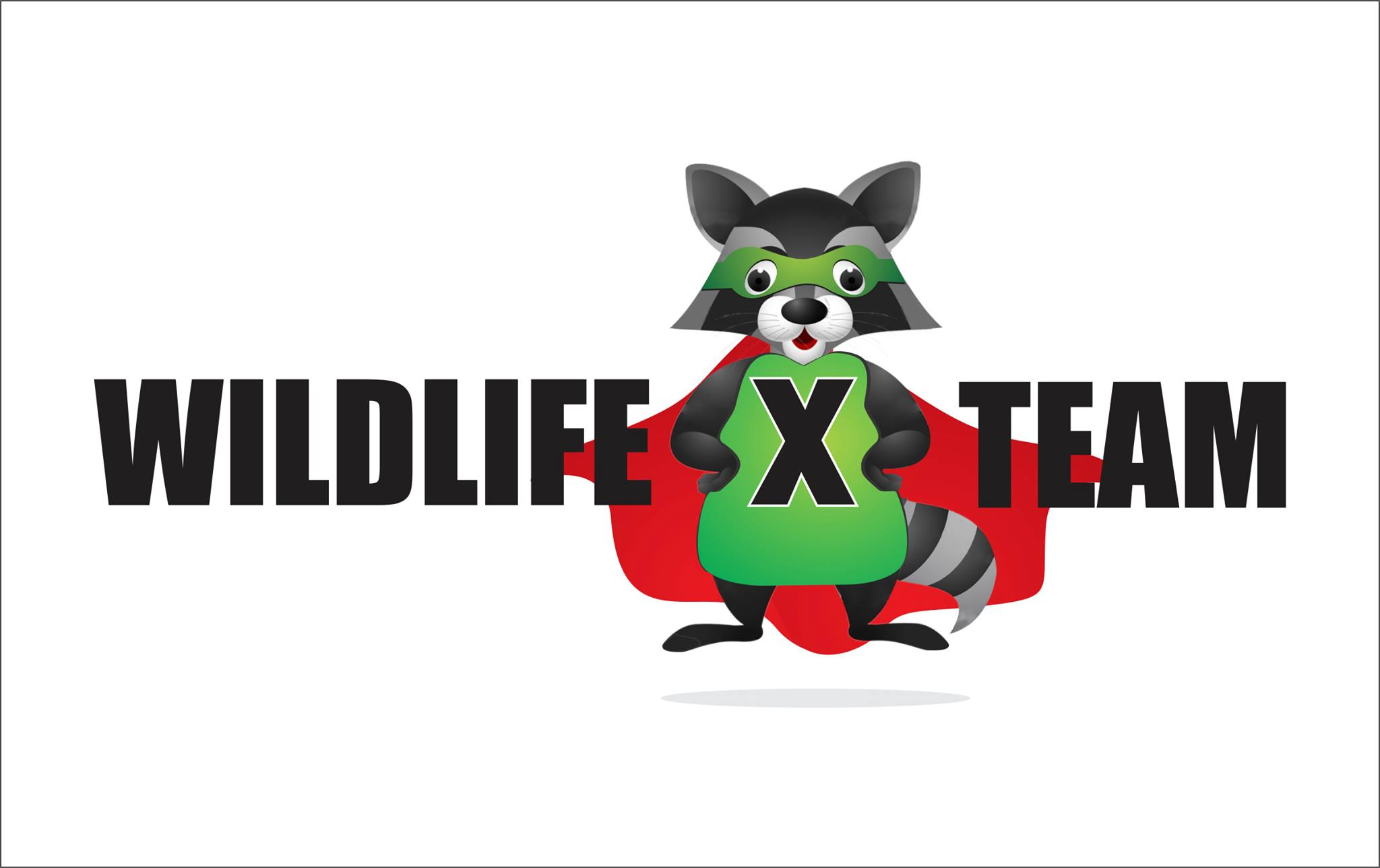 X Team Services, Inc. Logo