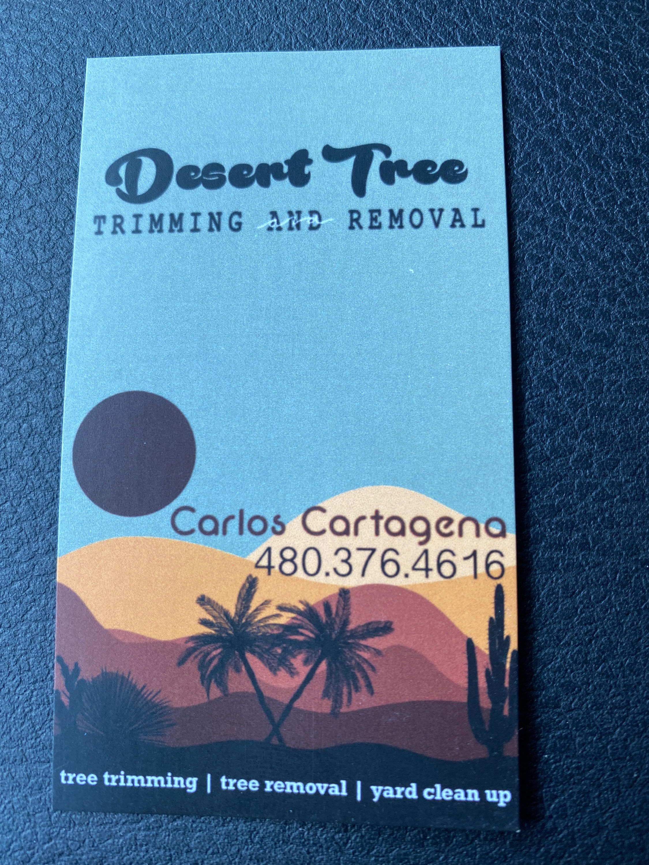 Desert Tree Trimming and Removal, LLC Logo