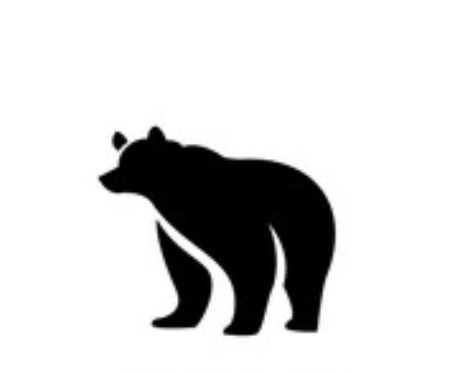 Brown Bear Construction, LLC Logo