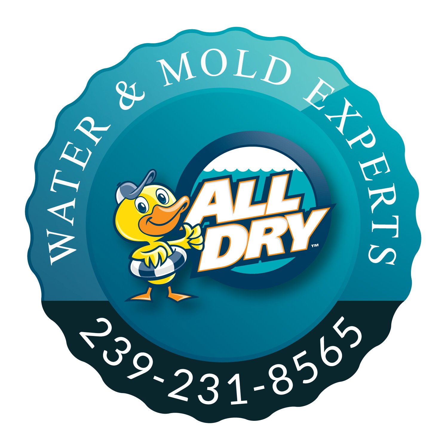 All Dry SWFL, LLC Logo