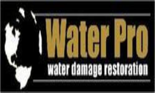 Water Pro Inc Logo