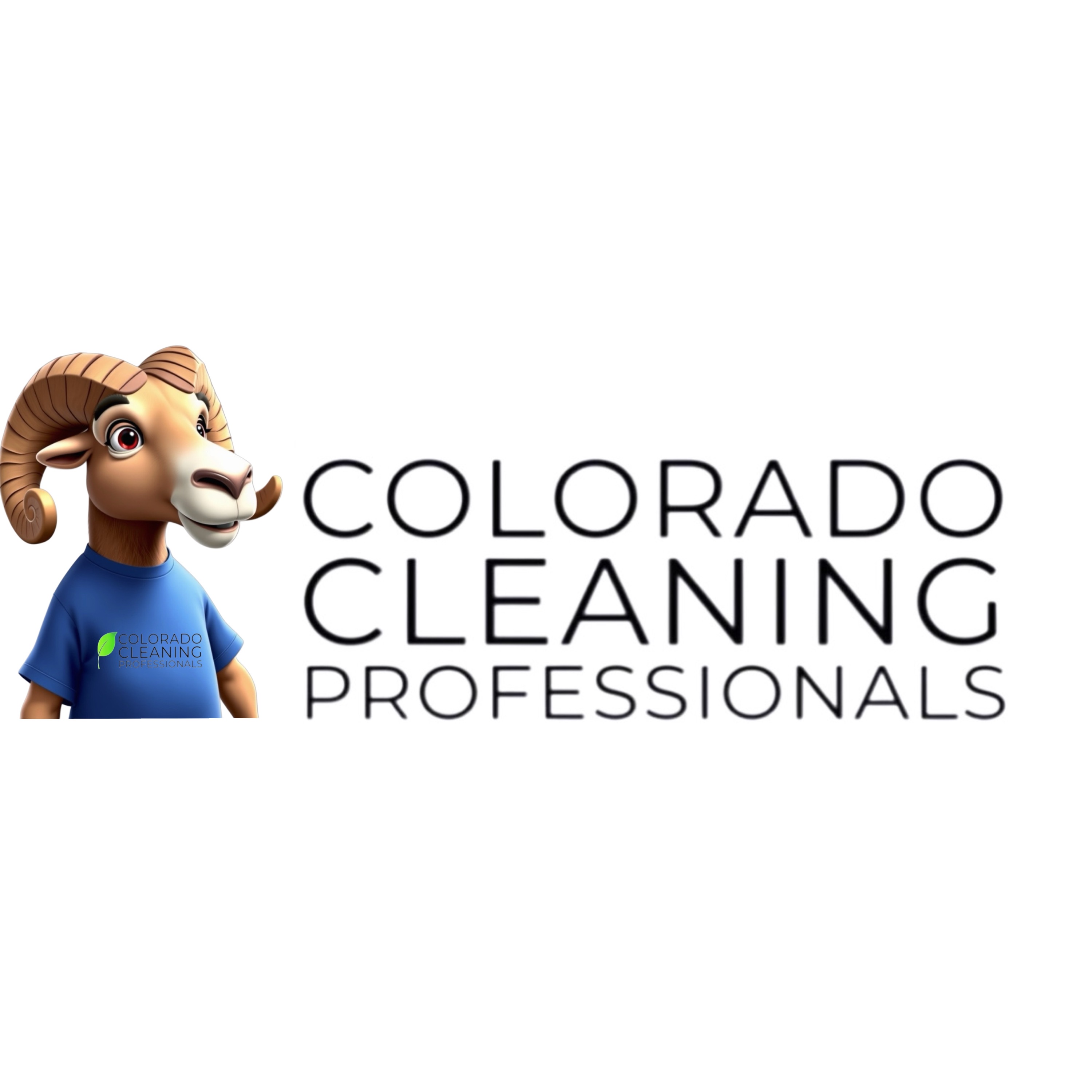 CCP Cleaning Logo