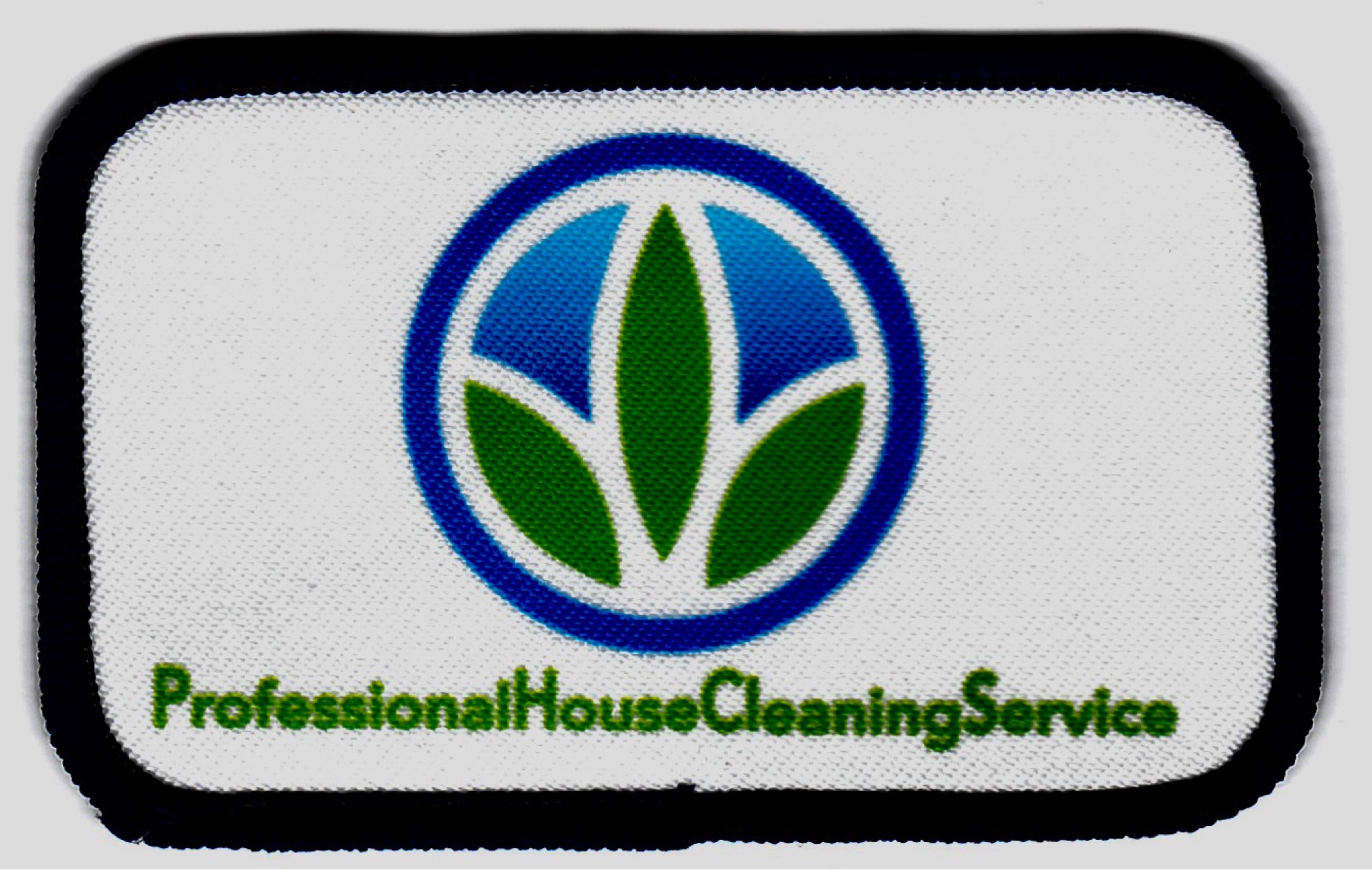 Professional House Cleaning Service, LLC Logo
