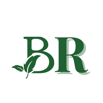 BR Hardscape and Landscape Design+ Logo