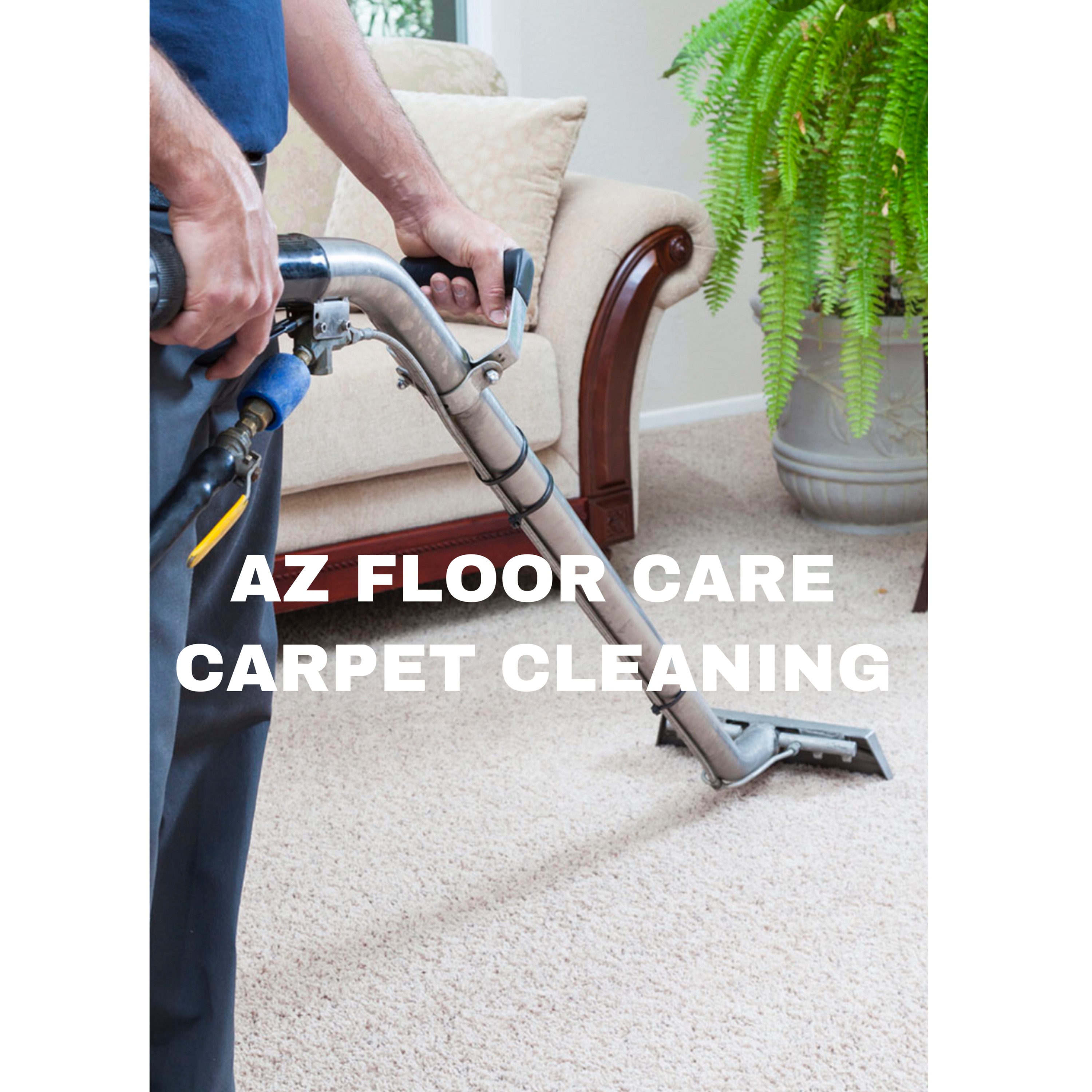AZ Floor Care & Landscape Logo