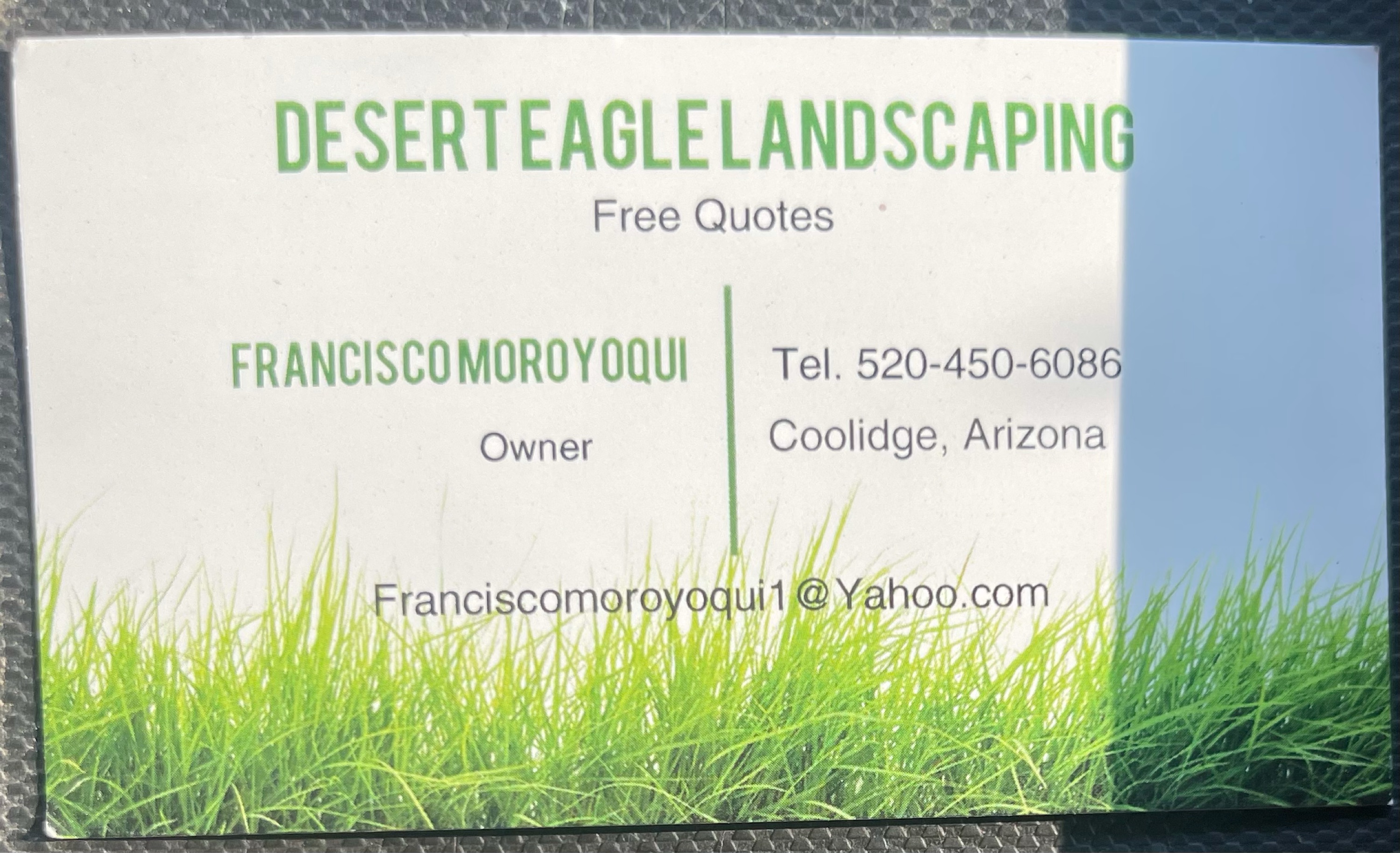 Desert Eagle Landscaping Logo