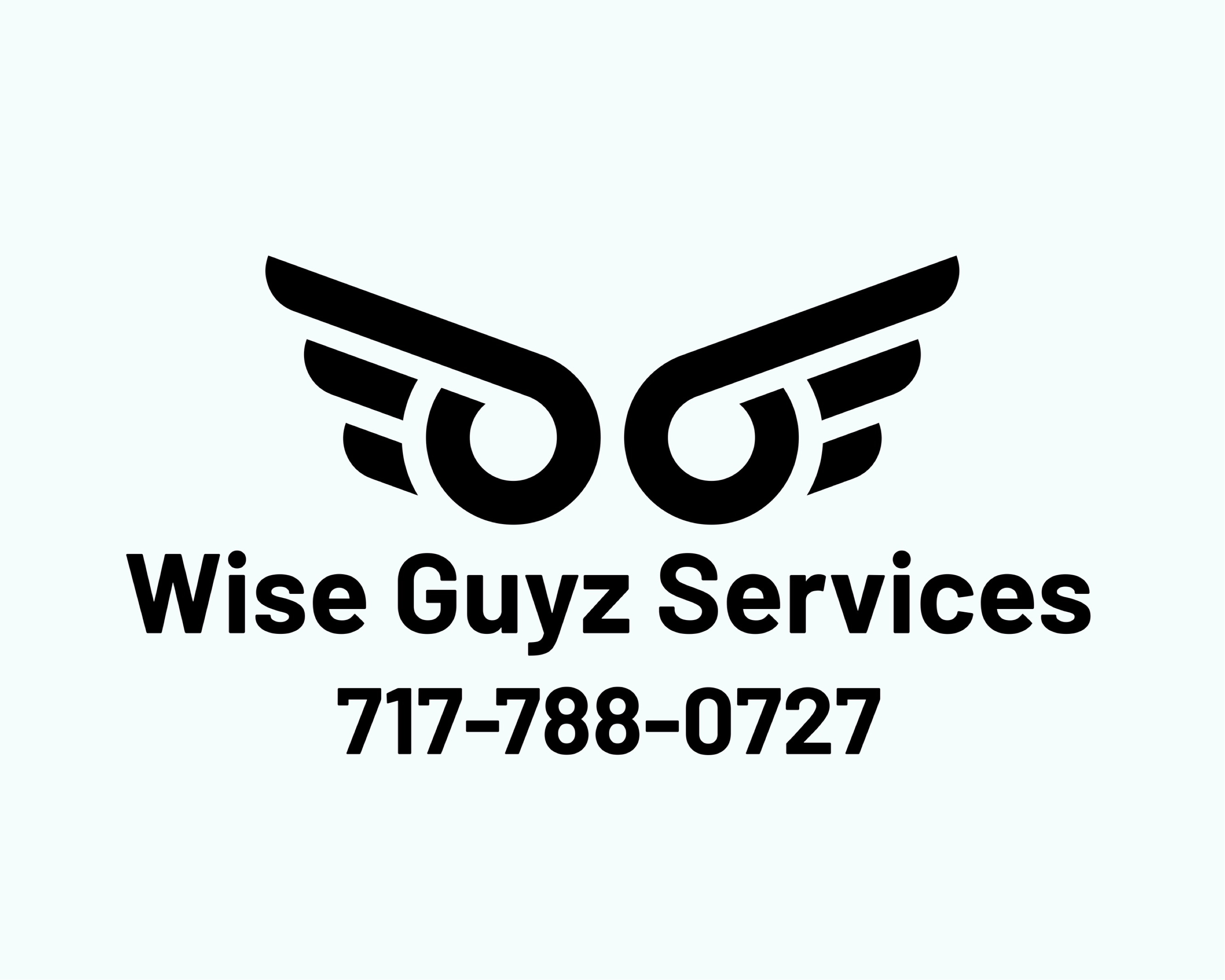Wise Guyz Services, LLC Logo