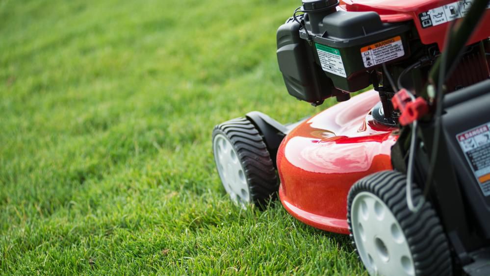 Guardian Lawn Care Logo