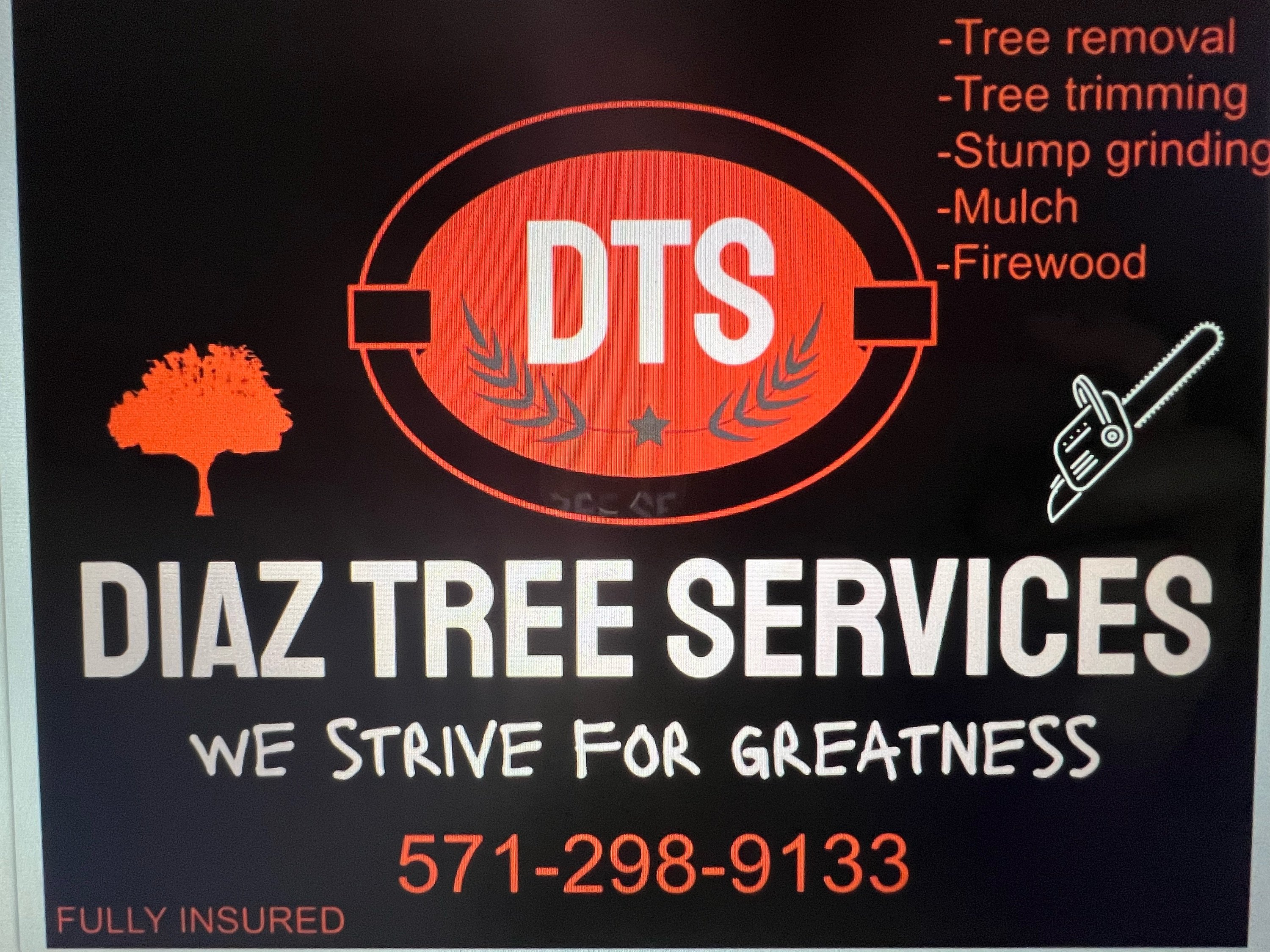 Diaz Tree Services Logo