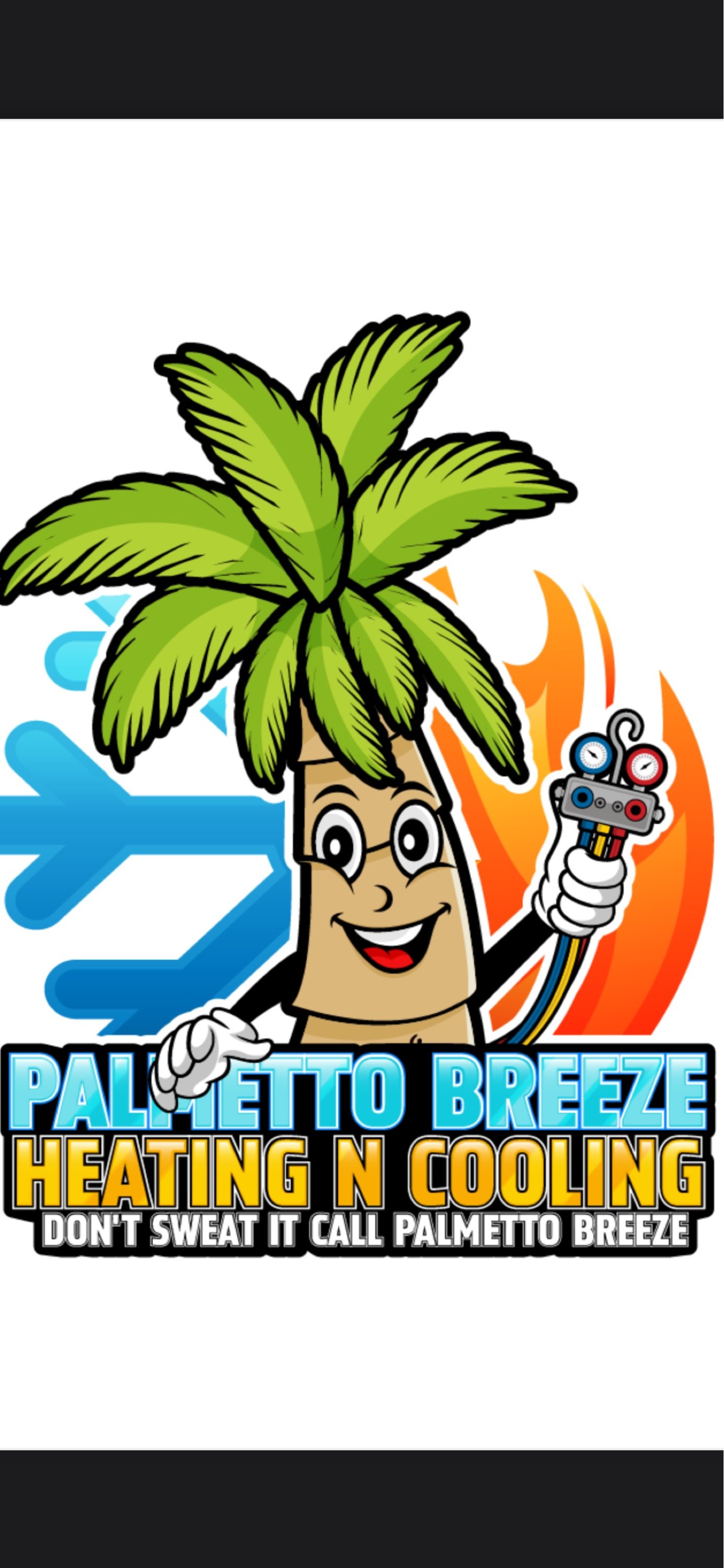 Palmetto Breeze Heating N Cooling Logo