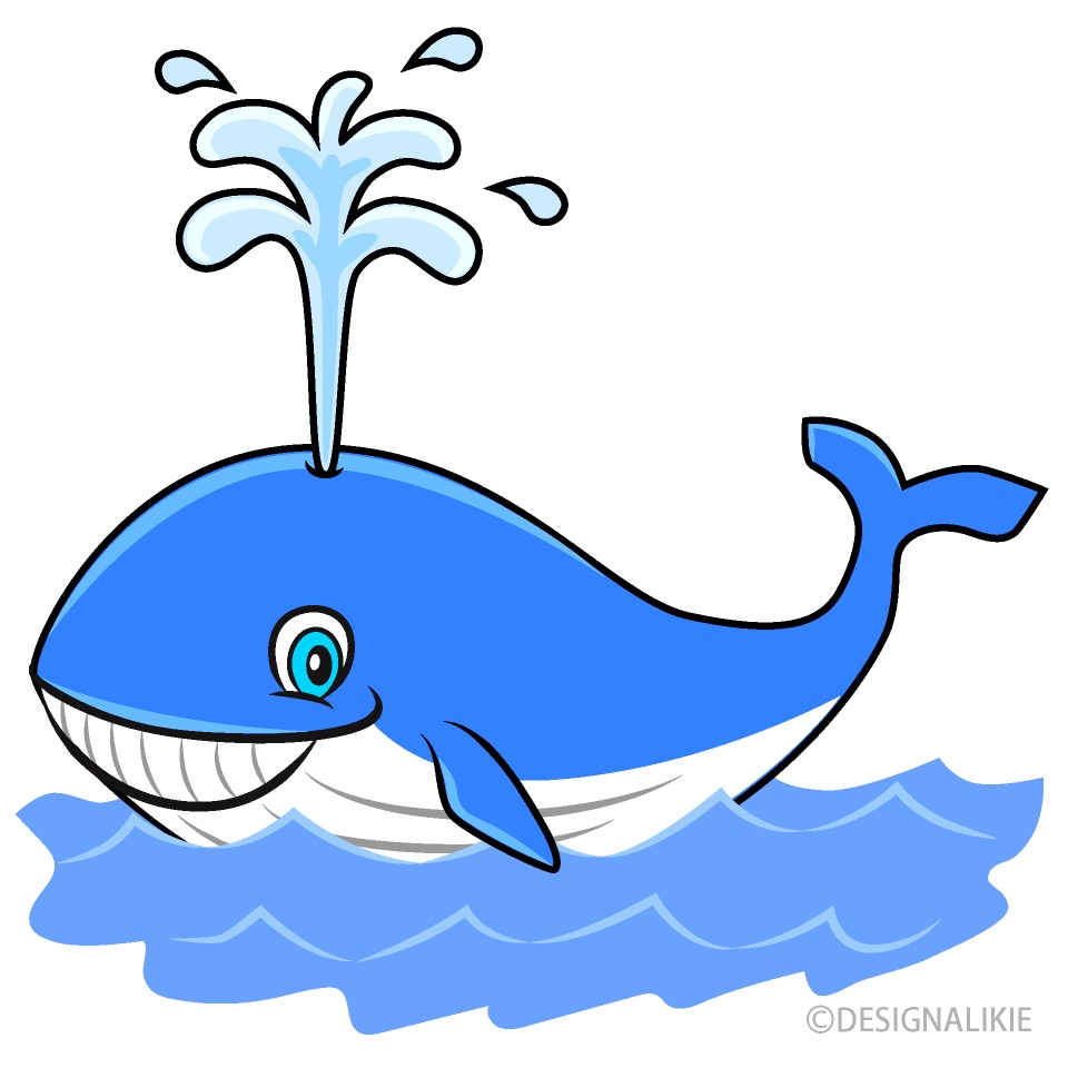 Blue Whale Pressure Washer Logo