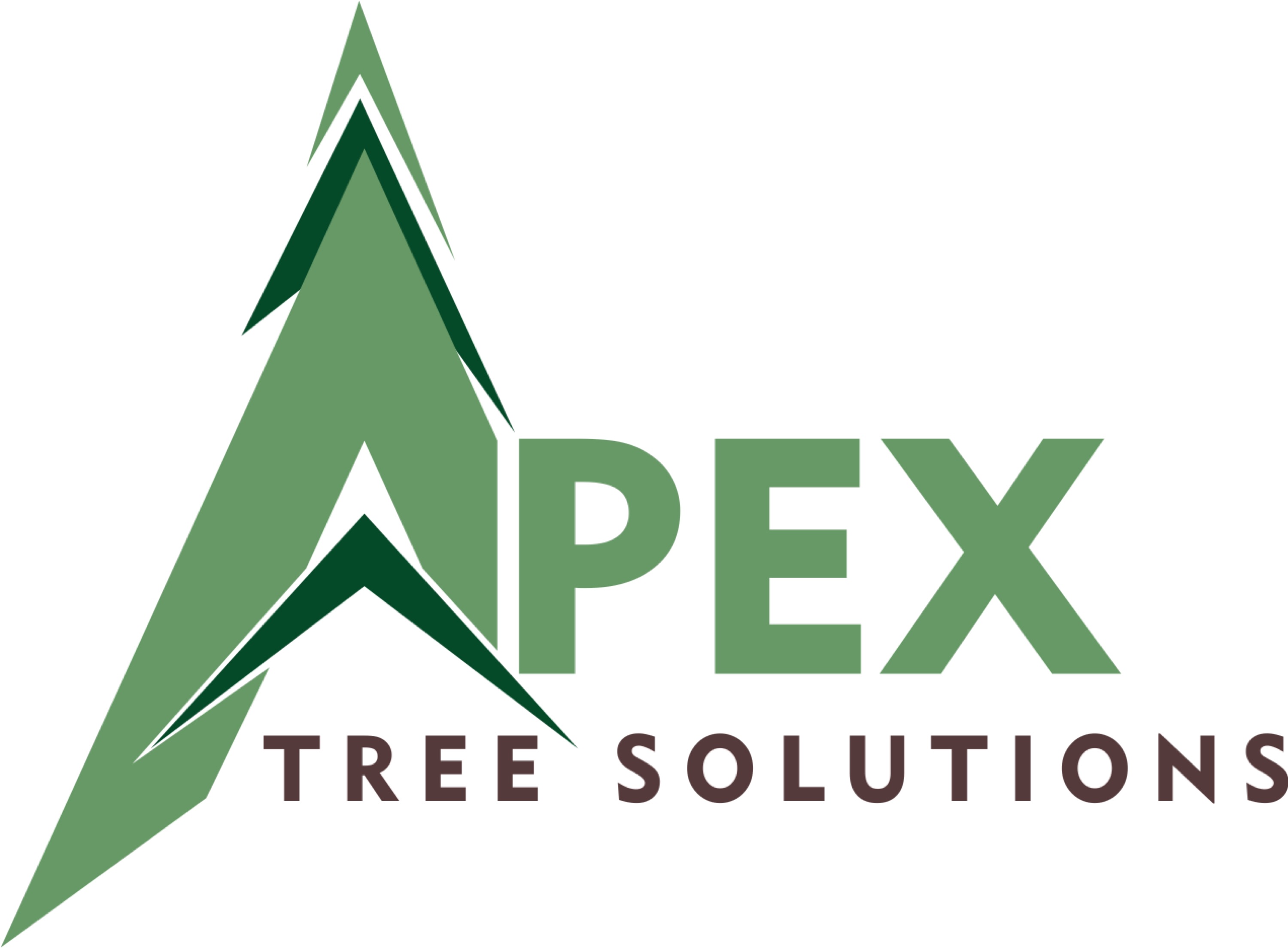 Apex Tree Solutions Logo